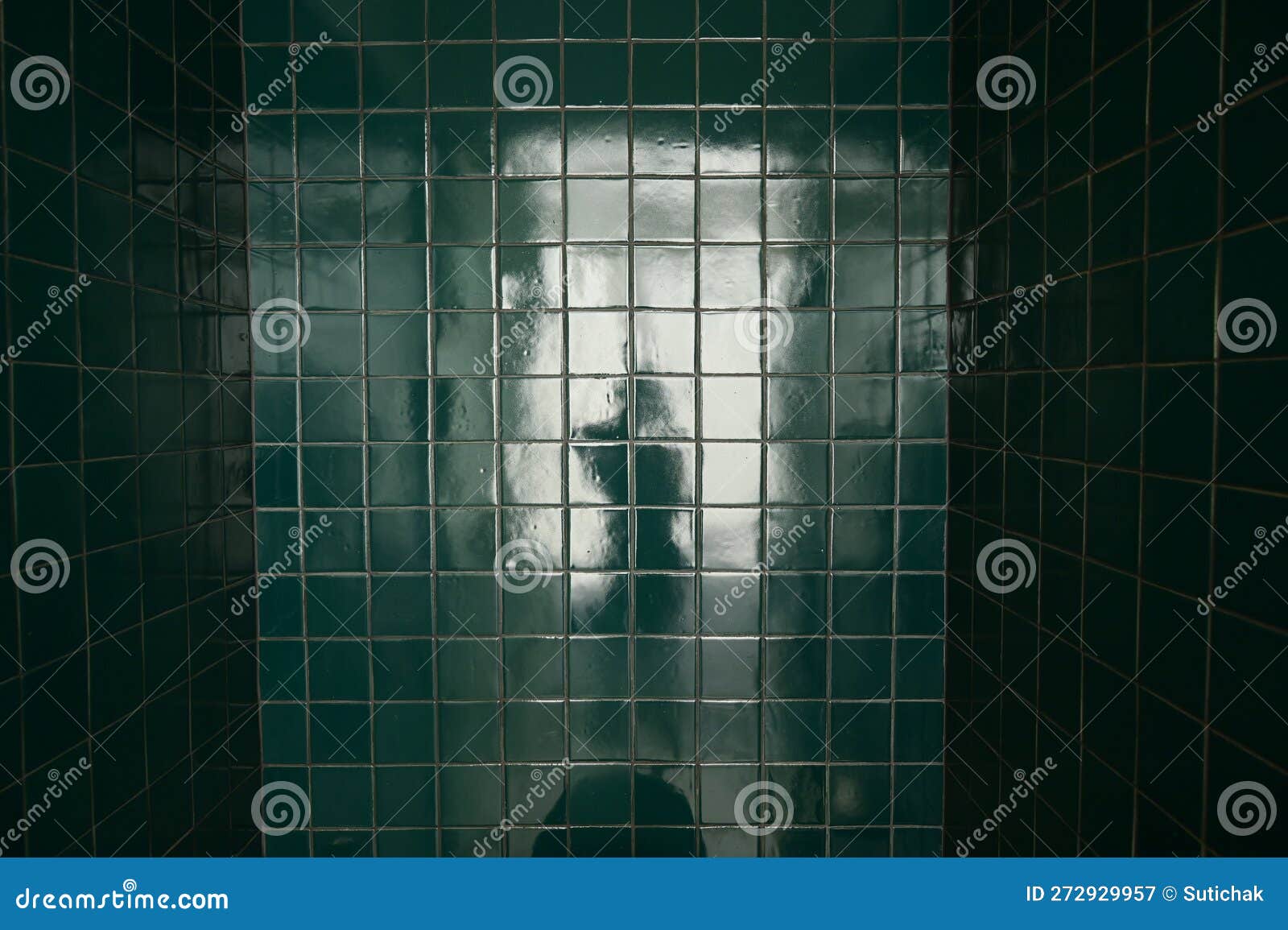 Dark Green Wall Bathroom, Interior Design Stock Image Image of layout