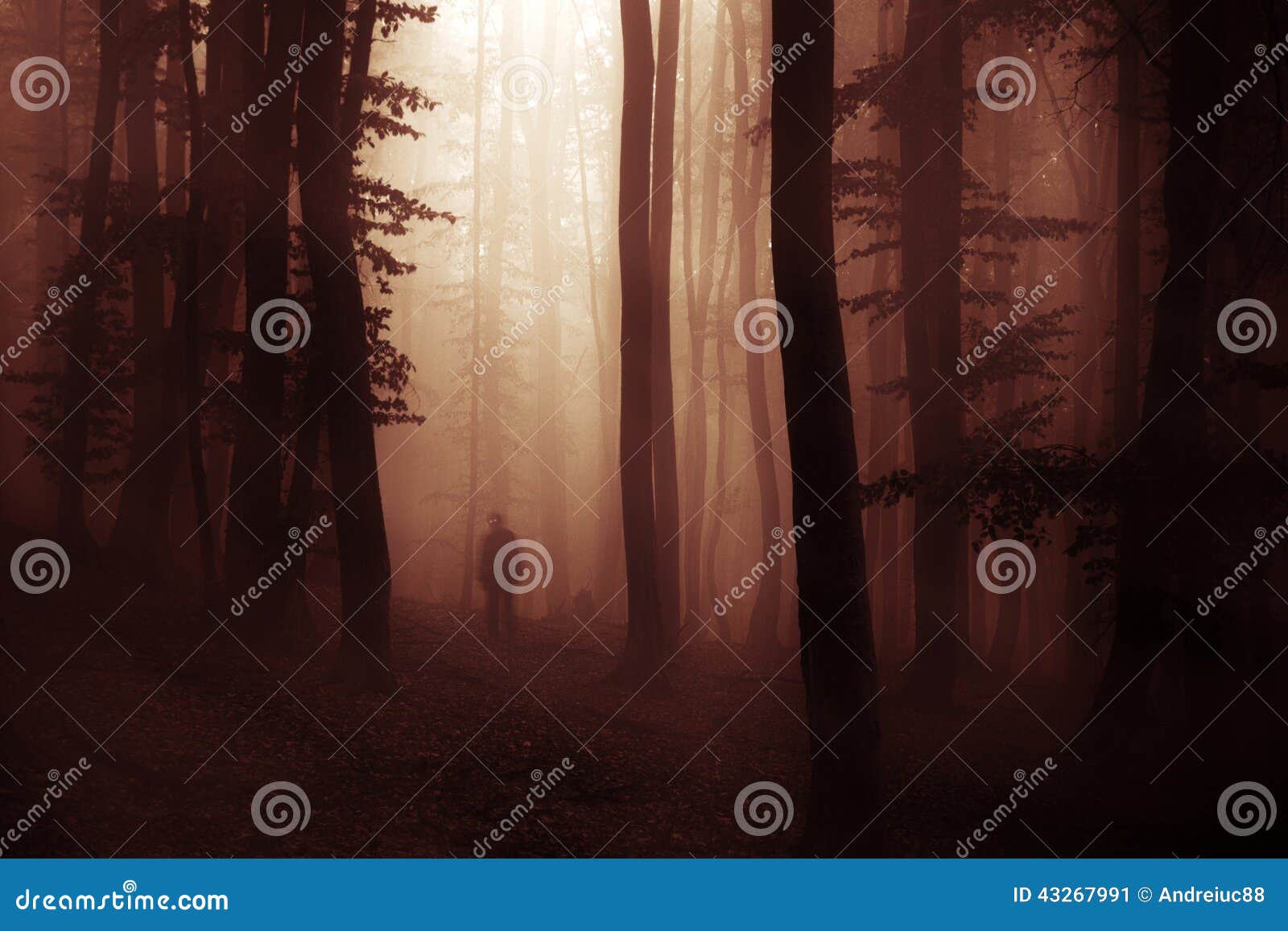 dark halloween apparition ghost in forest with fog
