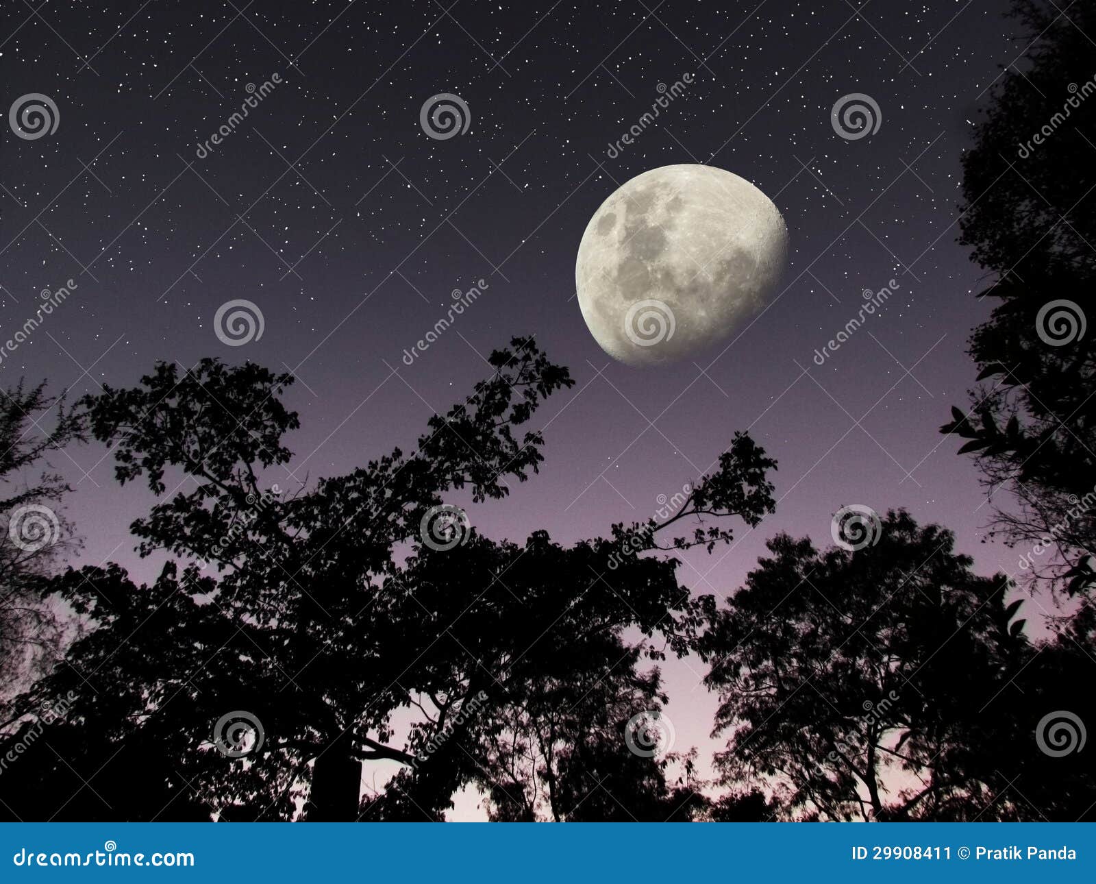 moon stars dark forest night sky