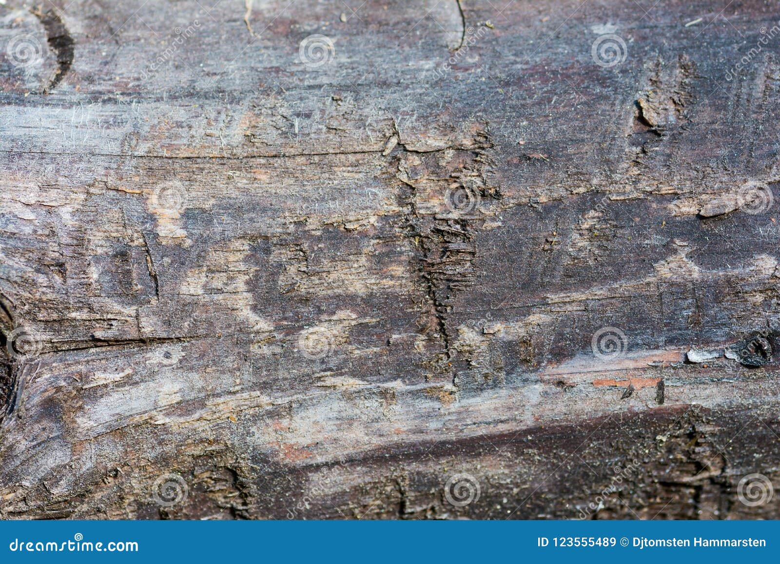 Dark Planks Wood, Differents Patterns and Cracks. Stock Image - Image ...