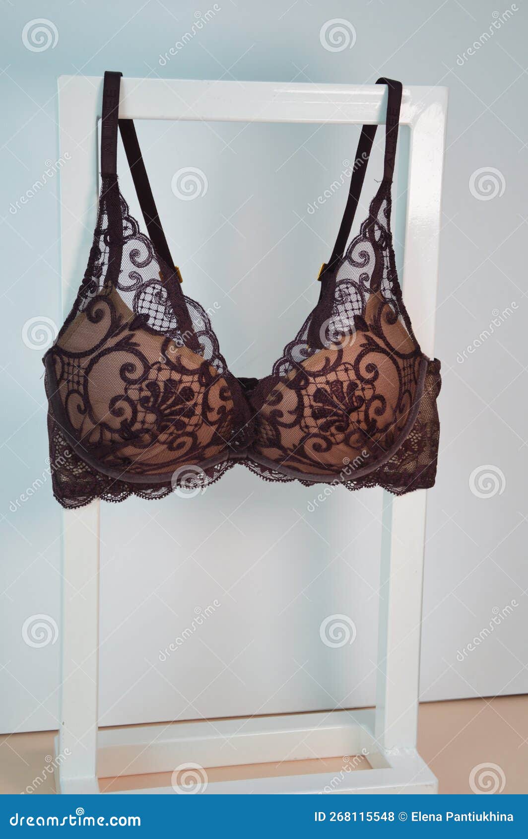 Dark Plum Women S Push-up Bra. One Lace Bra Hangs on a Stand Close-up on a  White Background. Women S Underwear. Stock Photo - Image of beautiful, black:  268115548