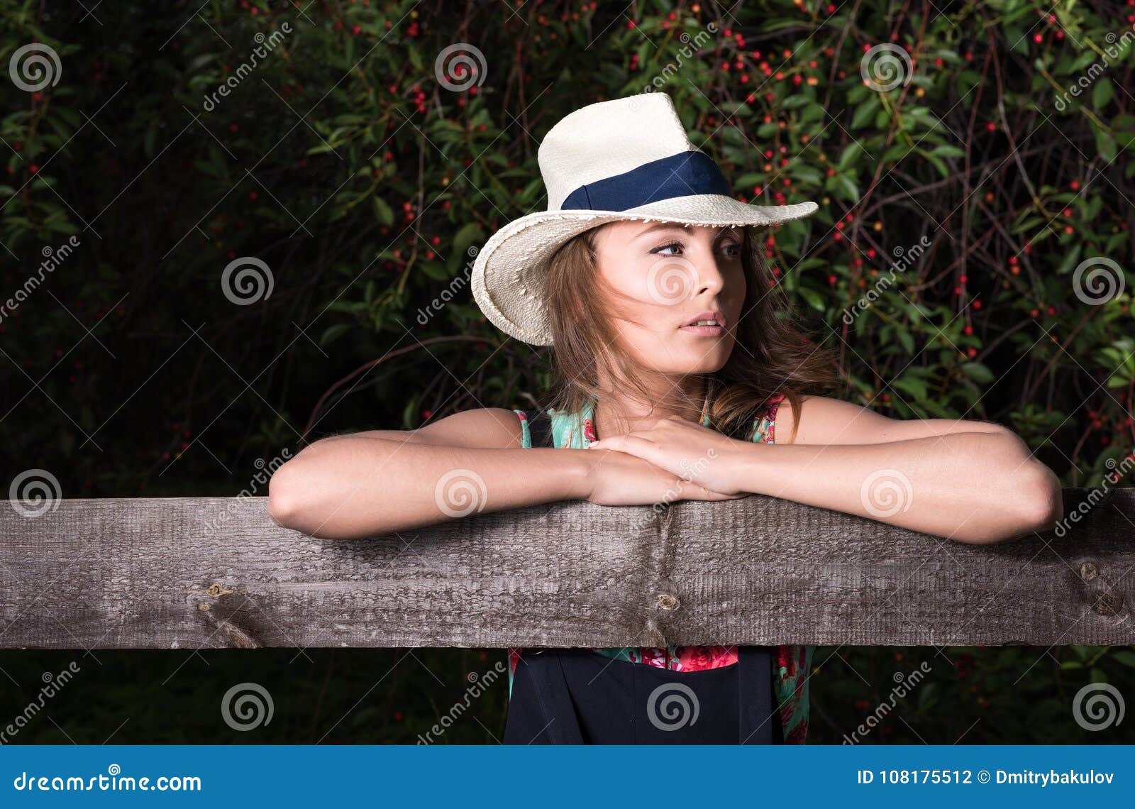 Dark Portrait of a Young Attractive Woman Near a Wooden Fence Stock ...