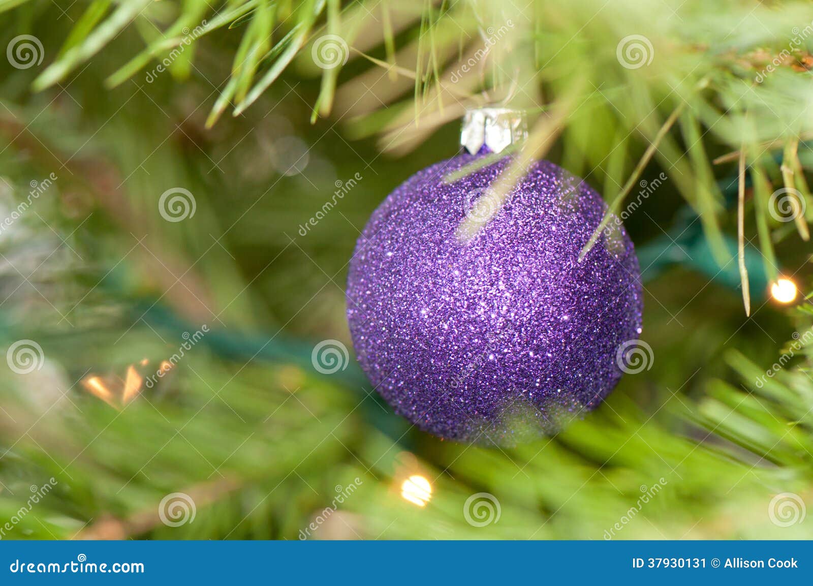 Dark Purple Christmas Ornament Stock Image - Image of xmas, ball: 37930131
