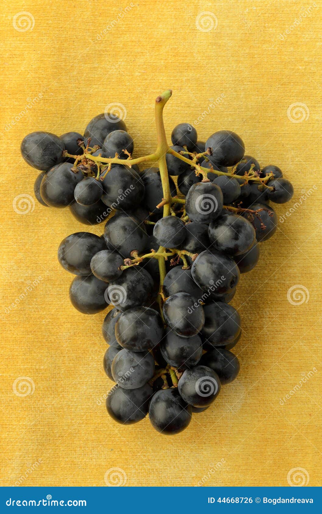 Dark purple grapes stock photo. Image of plant, dark 44668726