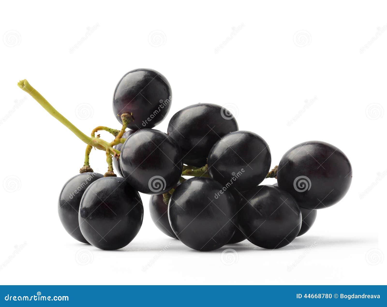 Dark purple grapes stock photo. Image of natural, isolated 44668780
