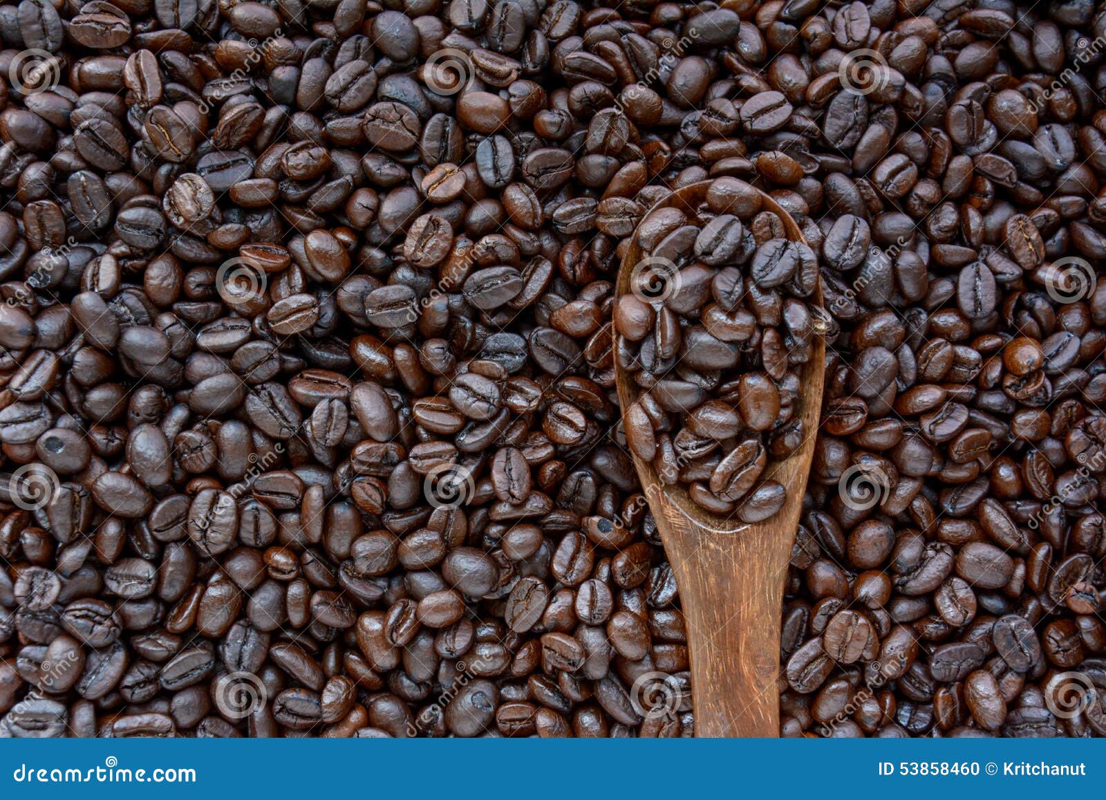 Dark roasted coffee beans stock photo. Image of brown 53858460