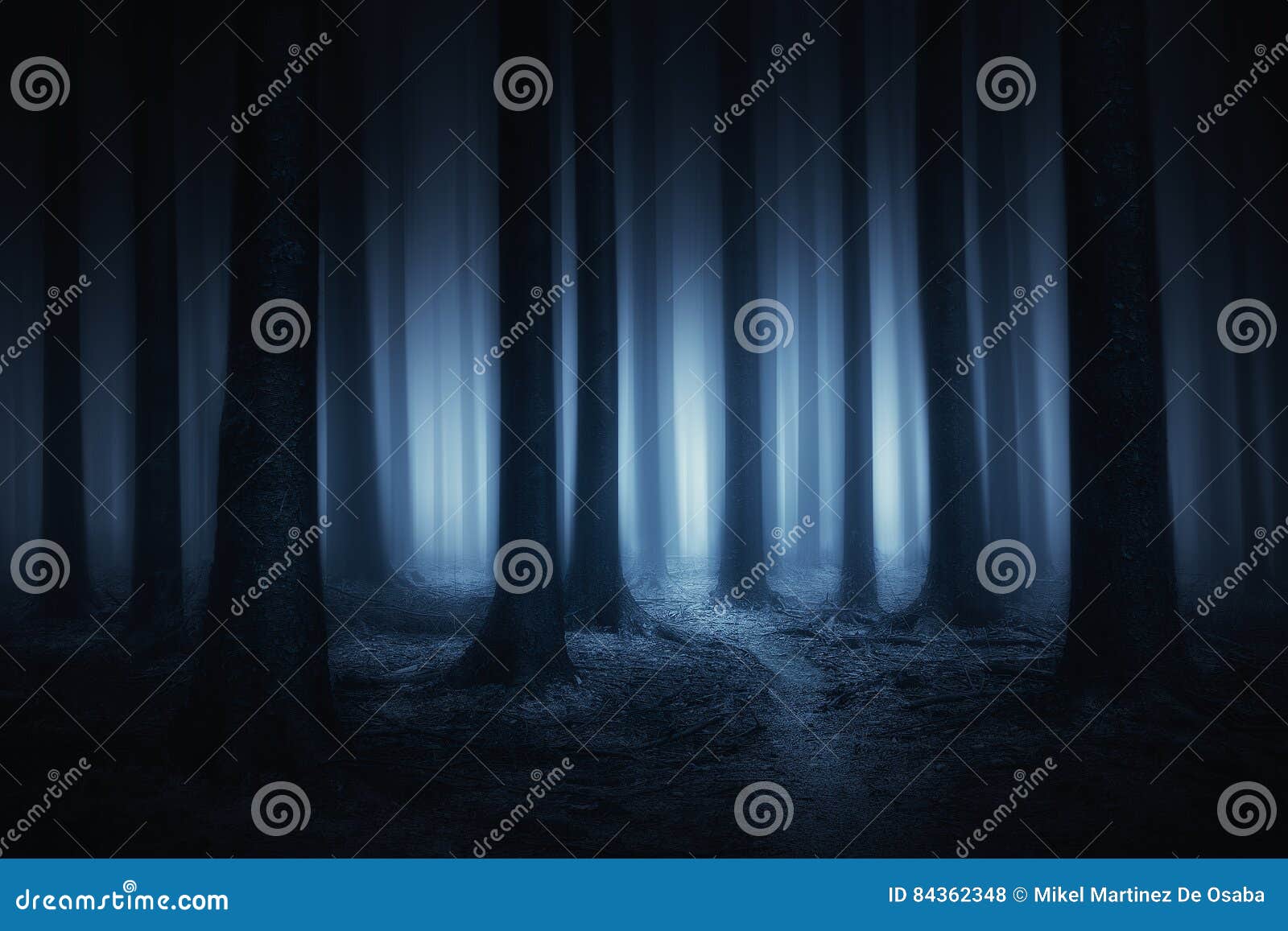 dark and scary forest at night