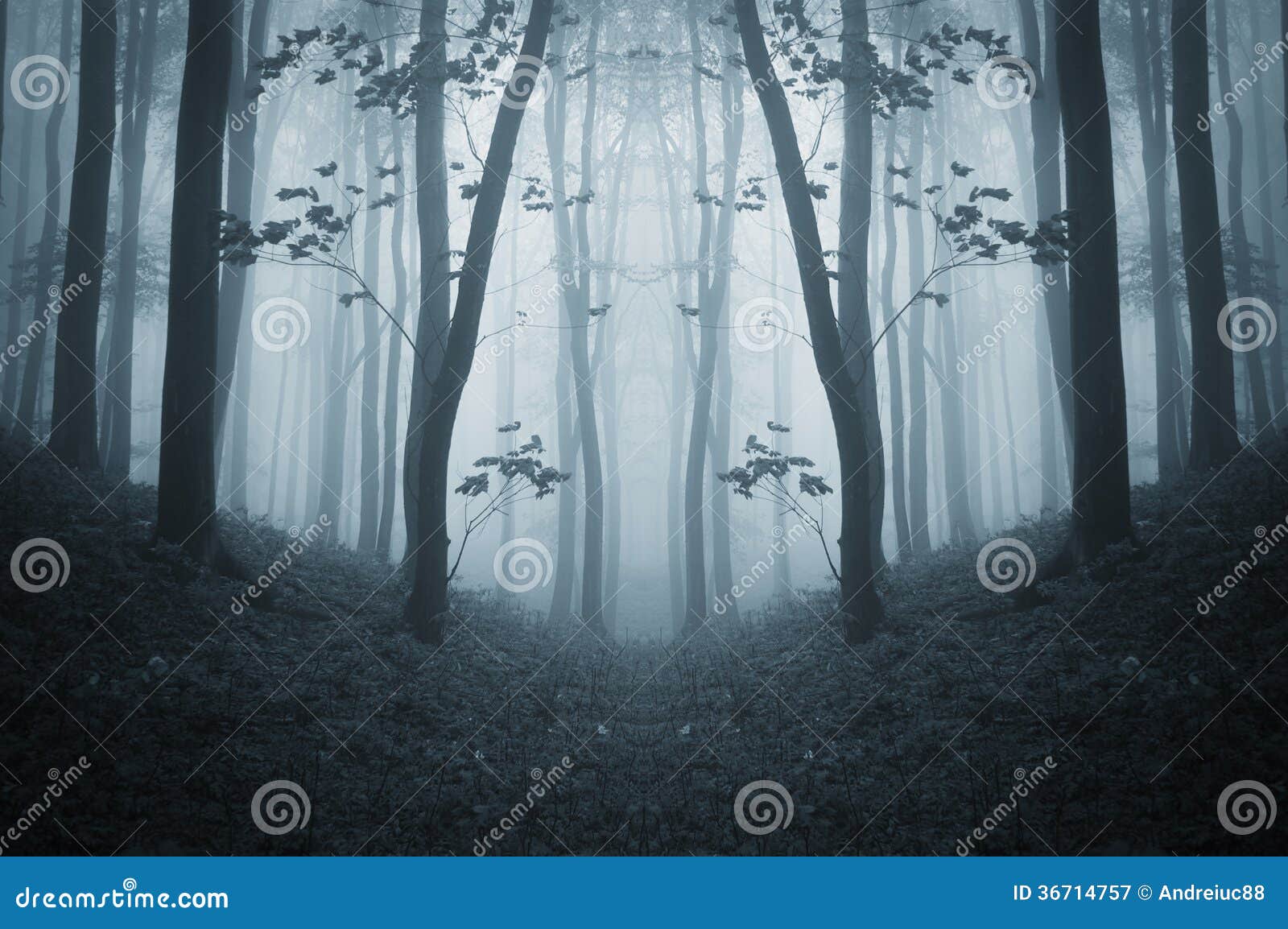 dark symmetrical creepy forest with fog in late autumn