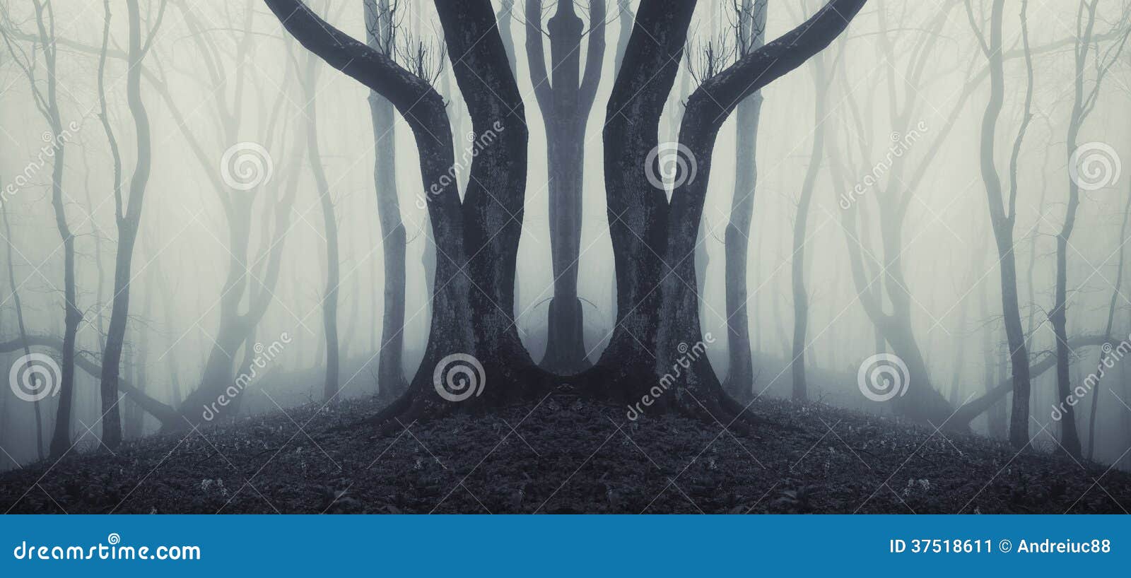 dark symmetrical forest with strange huge tree and mysterious fog