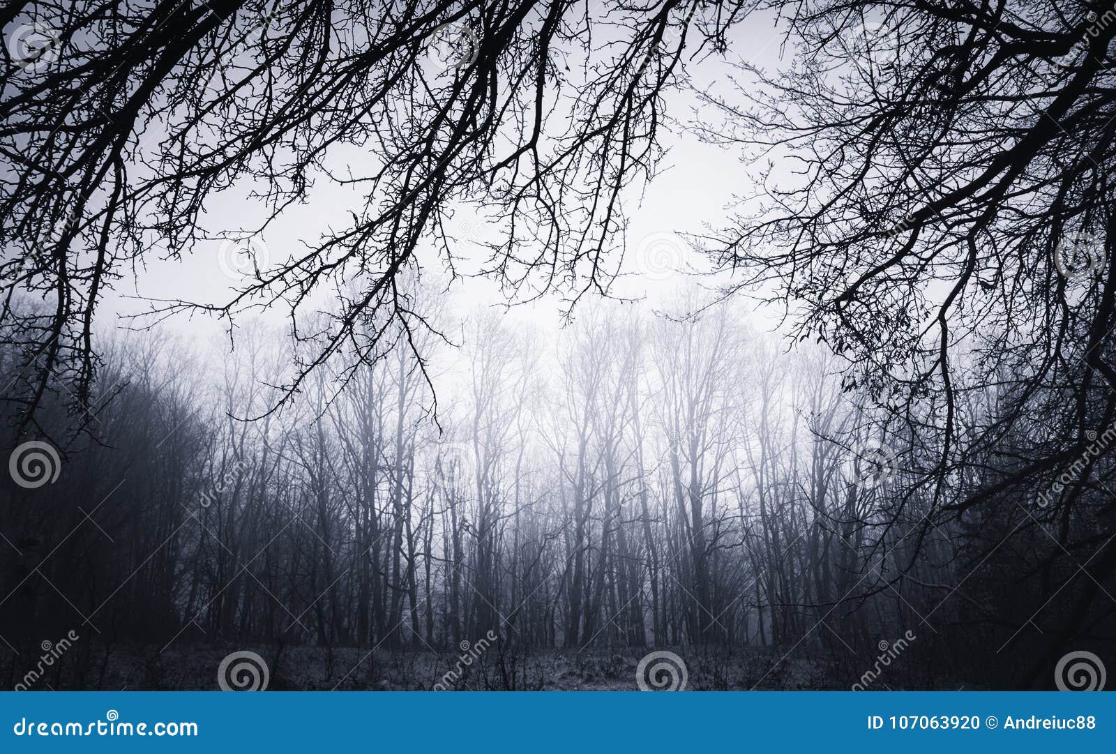 Dark Twisted Branches Background in Haunted Setting Stock Photo - Image of  background, backdrop: 107063920