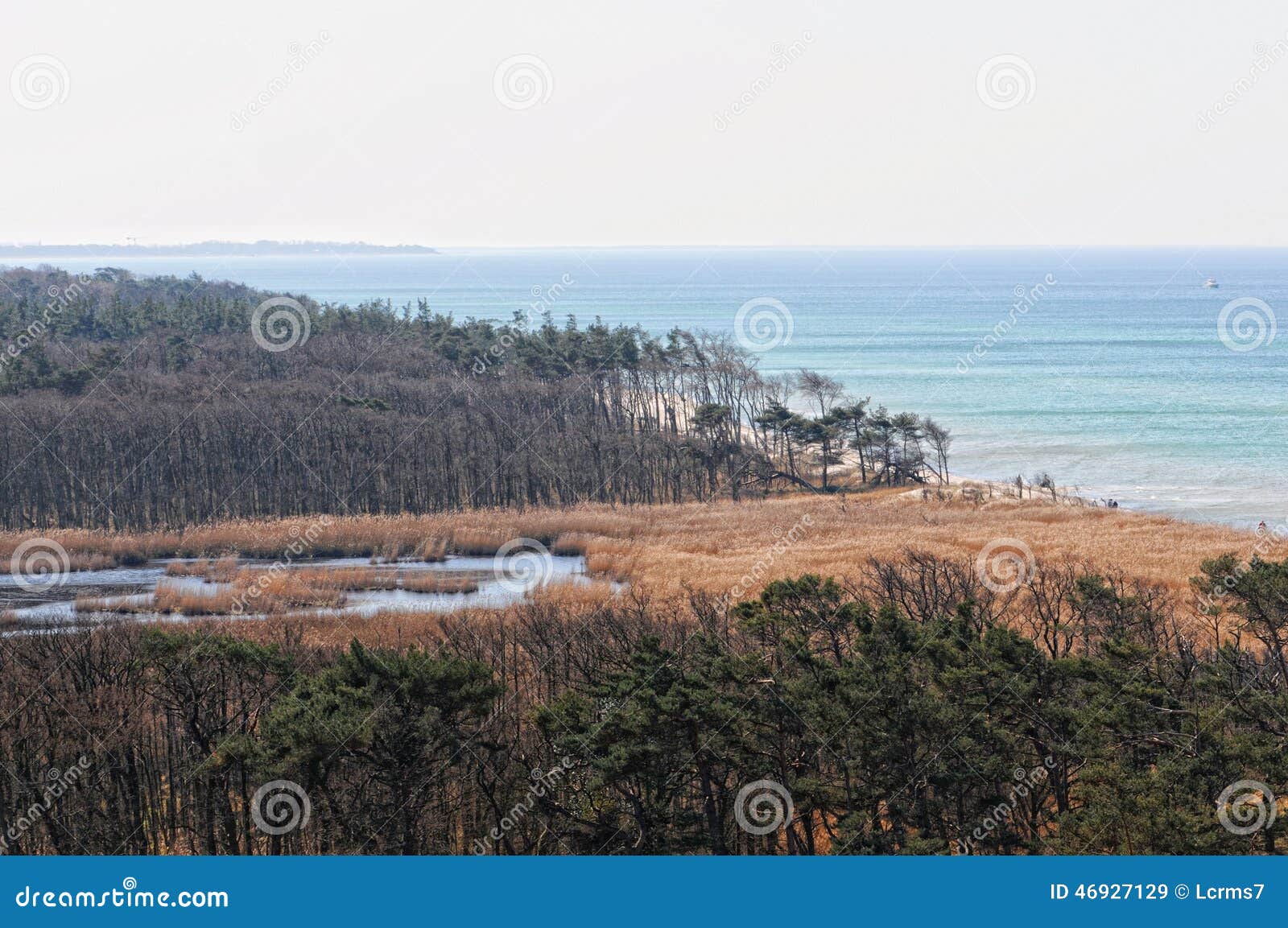 Darsser Ort at Baltic sea beach on Darss peninsula (Mecklenburg-Vorpommern, Germany). Typical landscape with dunes and pine tree.