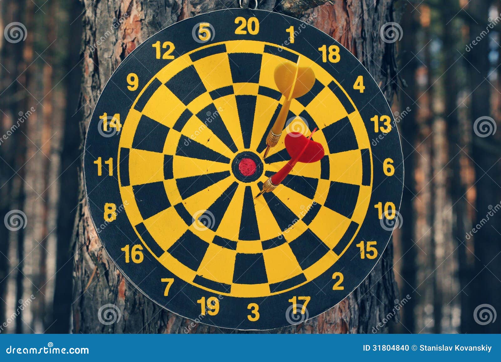 Dart Board and Darts on Tree Stock Photo Image of rubberized, outside
