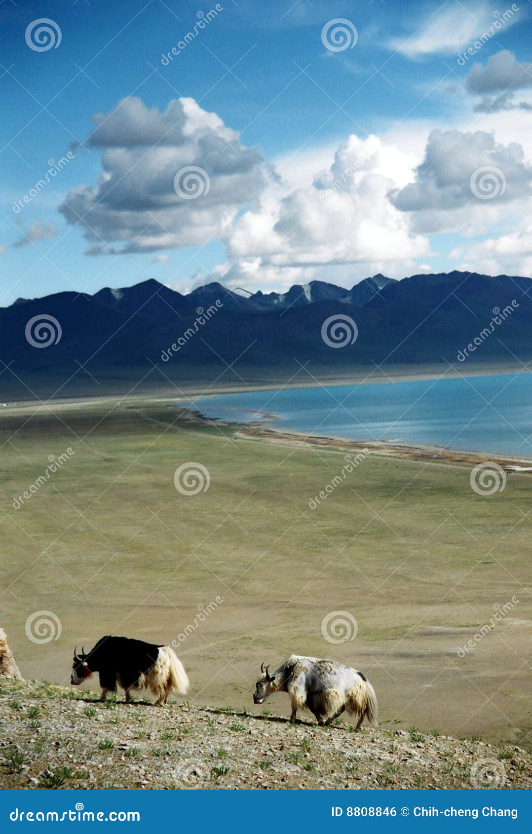 Das Alltagsleben in Tibet. Das Alltagsleben von Tibets Morgen