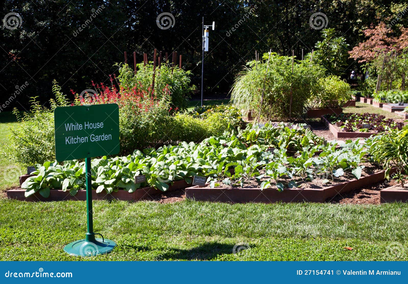Das HausGemüsegarten stockbild. Bild von luxus, garten 27154741