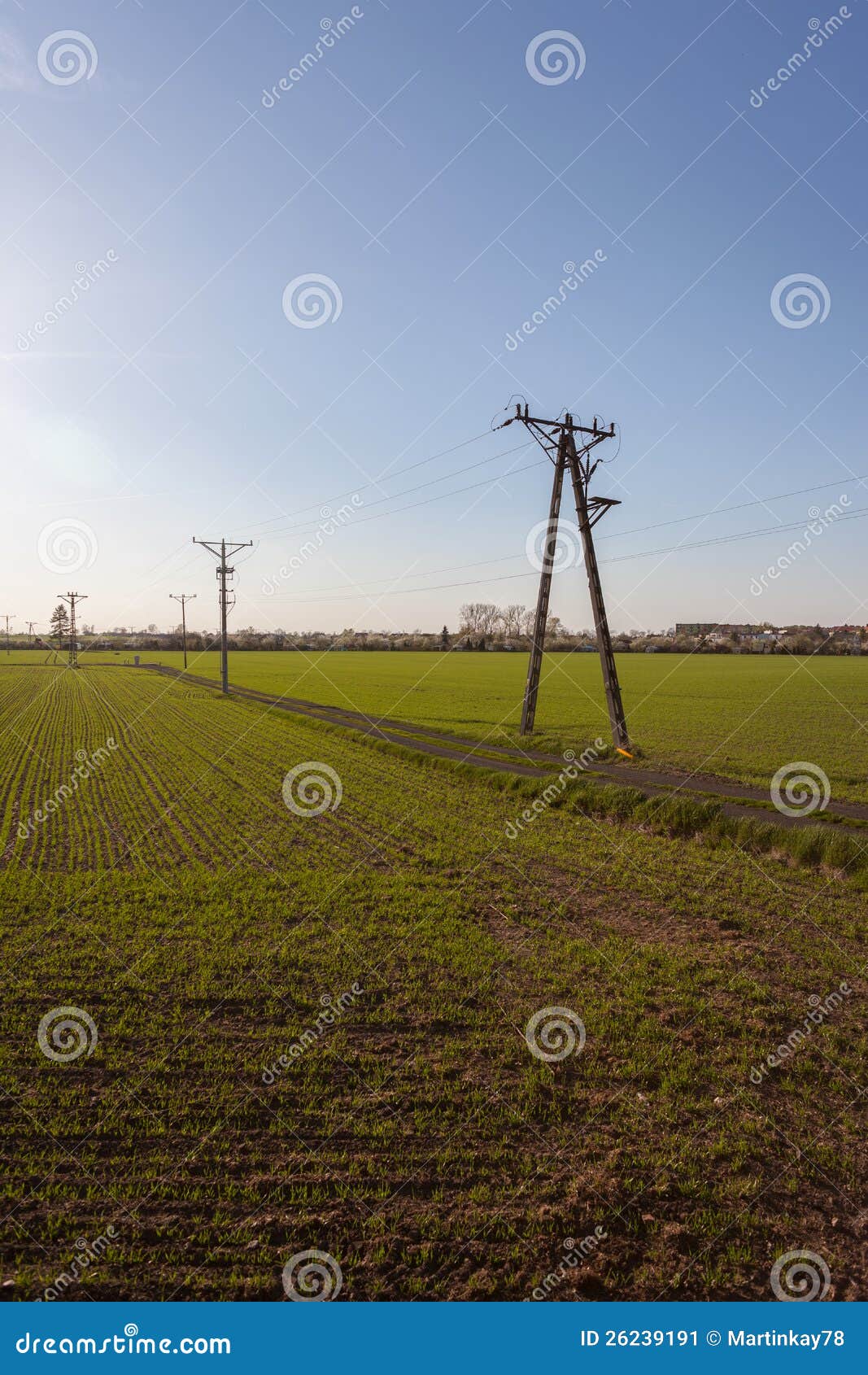 Das Leistung-Feld. Ansicht der Felder mit Elektrizitätspolen