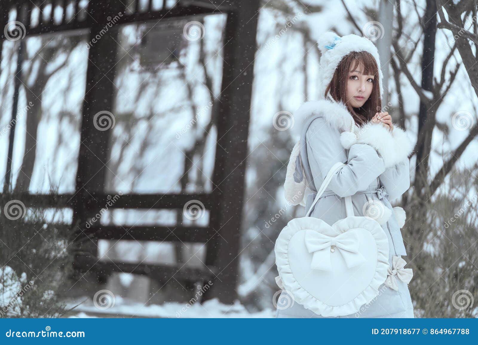Das Schone Madchen Im Schnee Im Winter Stockbild Bild Von Portrat Reizend 207918677