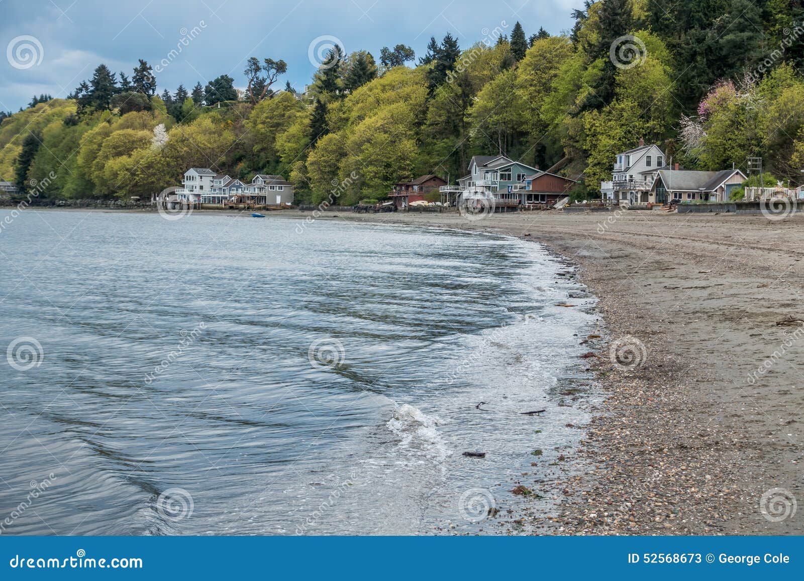 Dash Point Wa Tide Chart