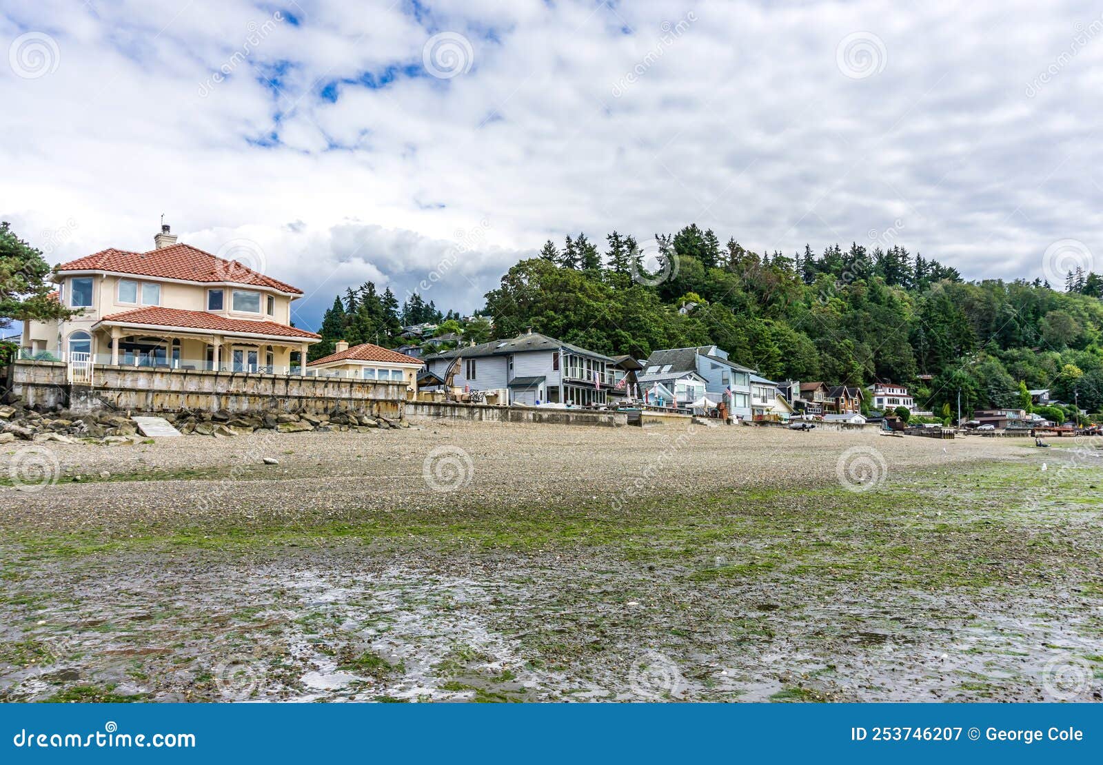 Dash Point View Homes_4 stock image. Image of homes 253746207