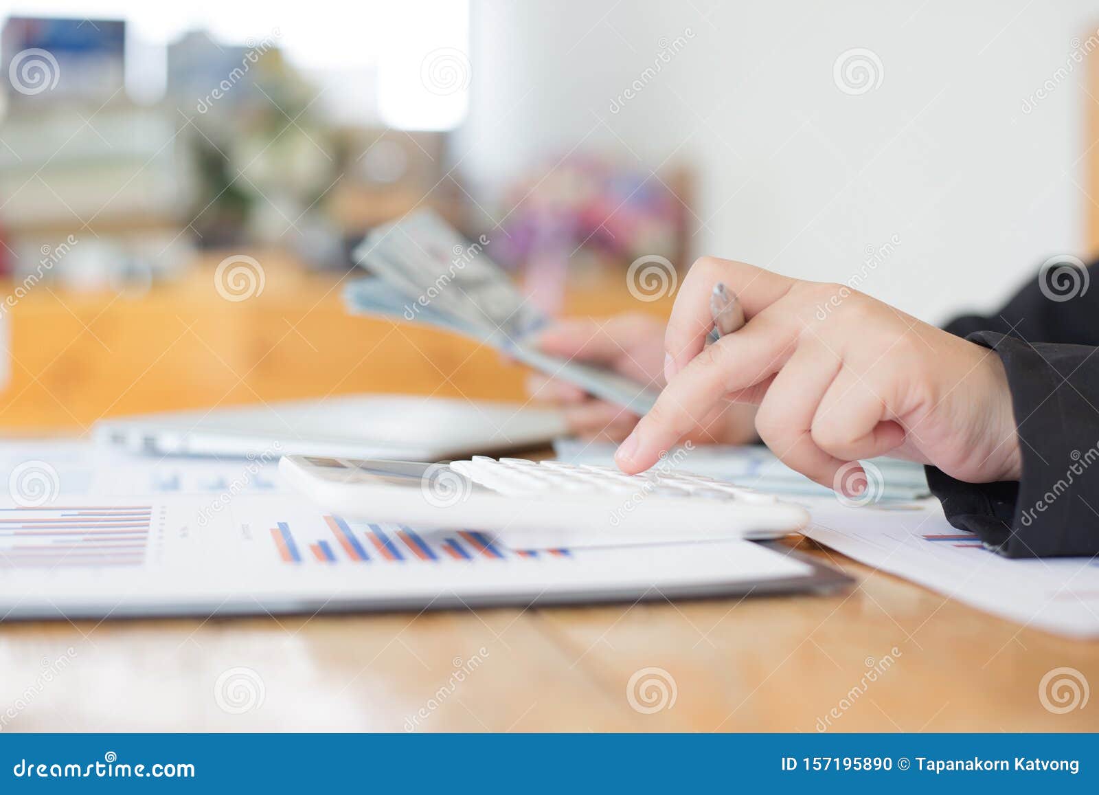 Data Analysis, Financial Accountants are Evaluating Company Revenue