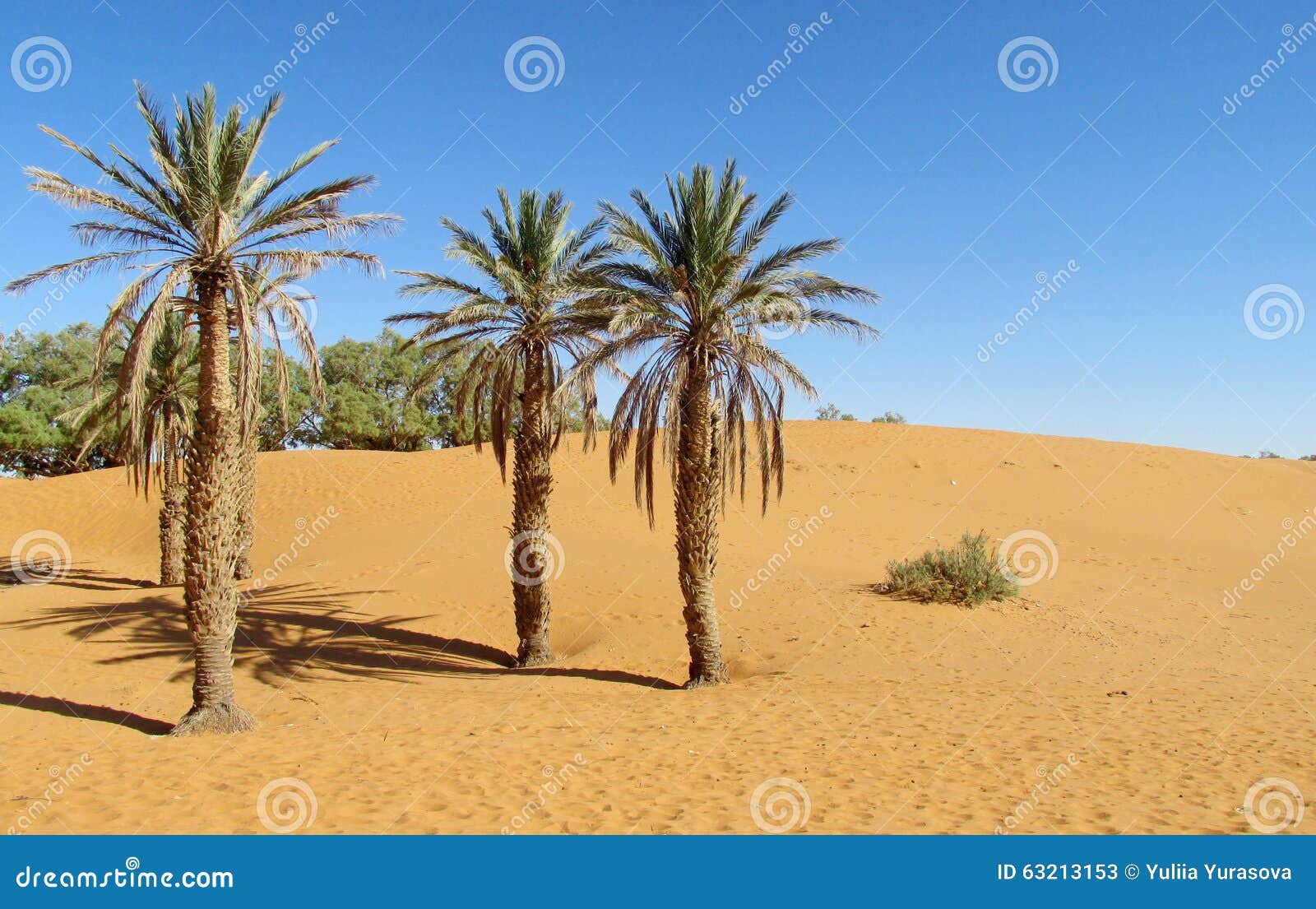 dating palm desert ca