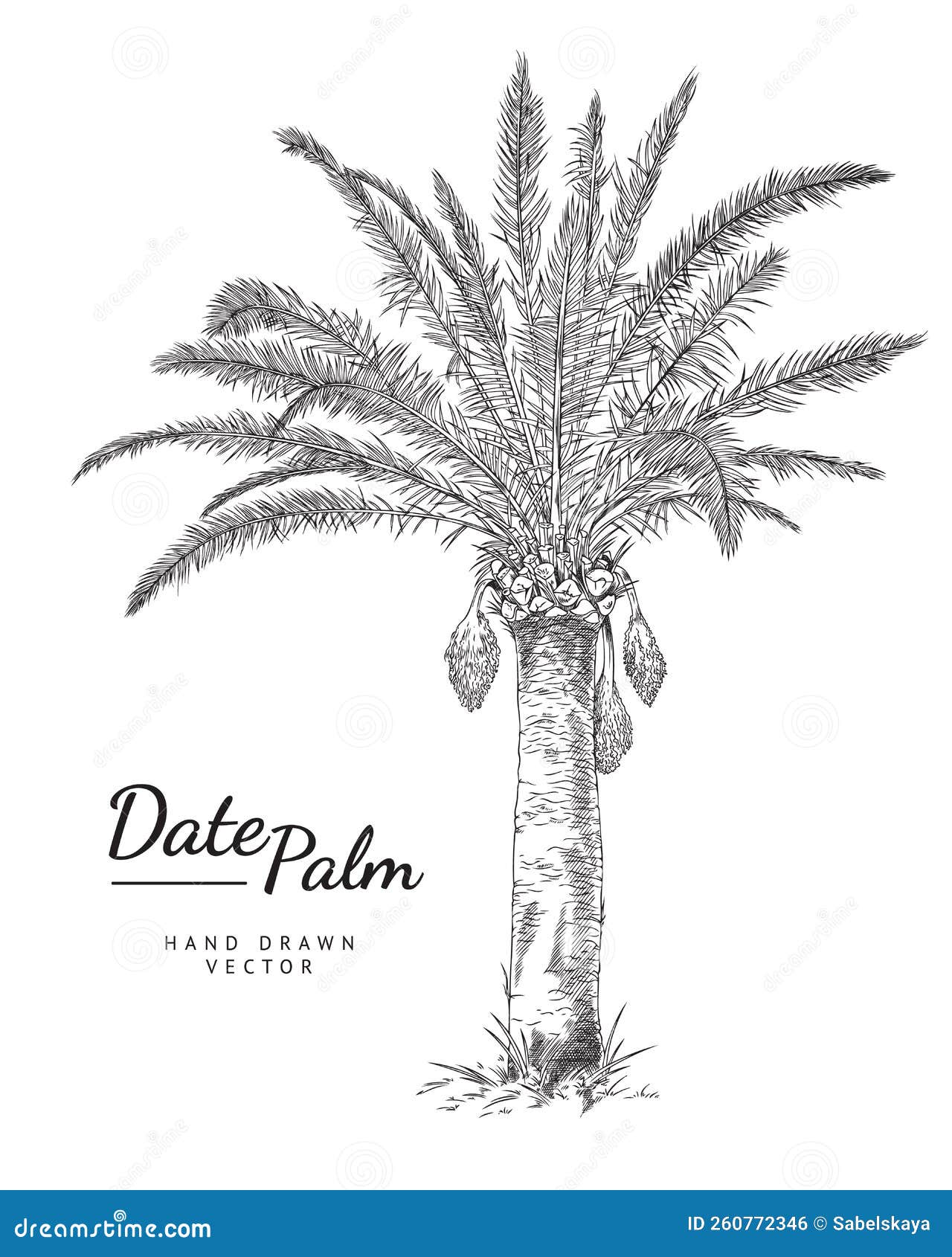 Palm Tree Woodcut Stock Illustrations  237 Palm Tree Woodcut Stock  Illustrations Vectors  Clipart  Dreamstime