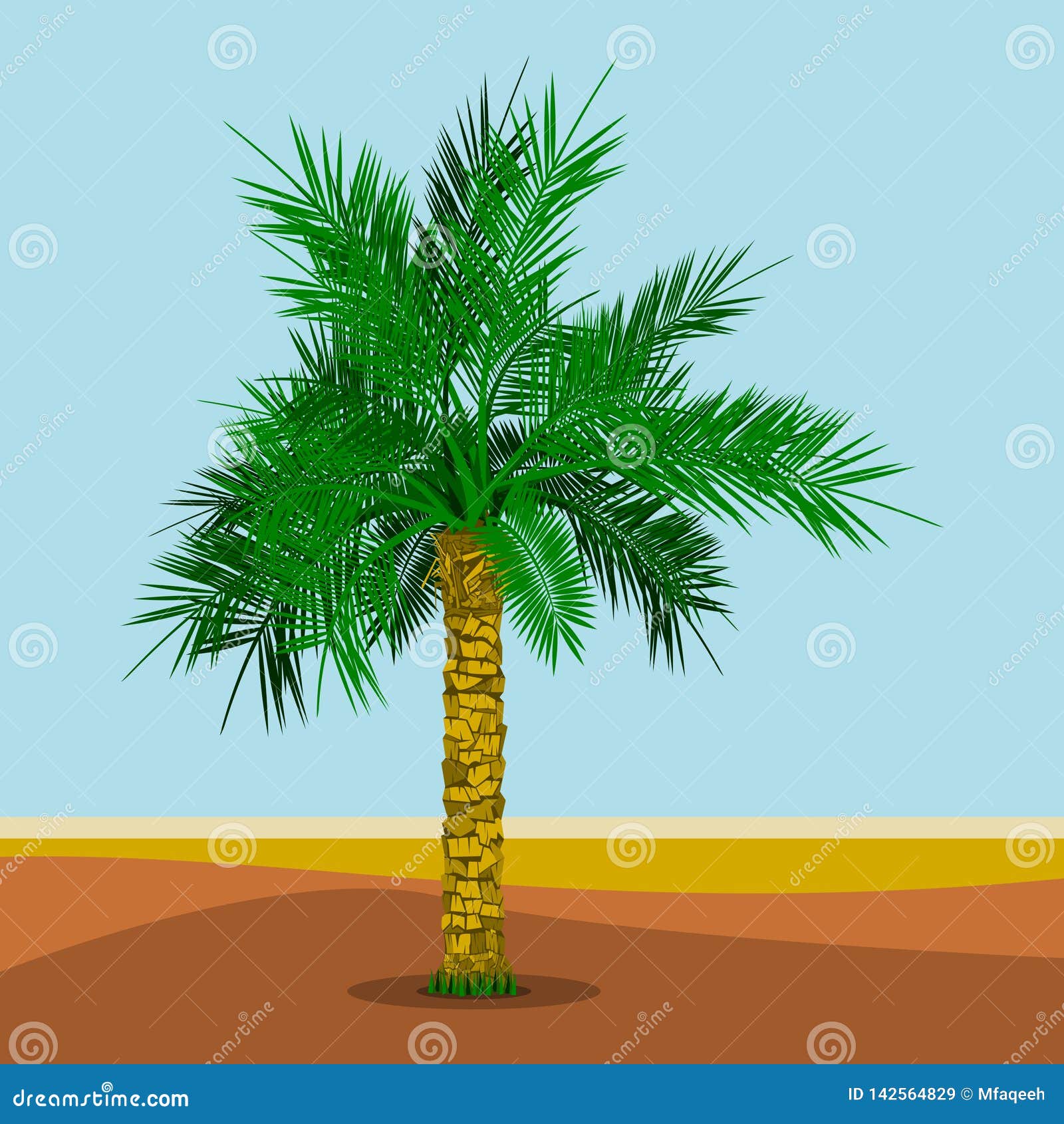 date palm tree on desert background  