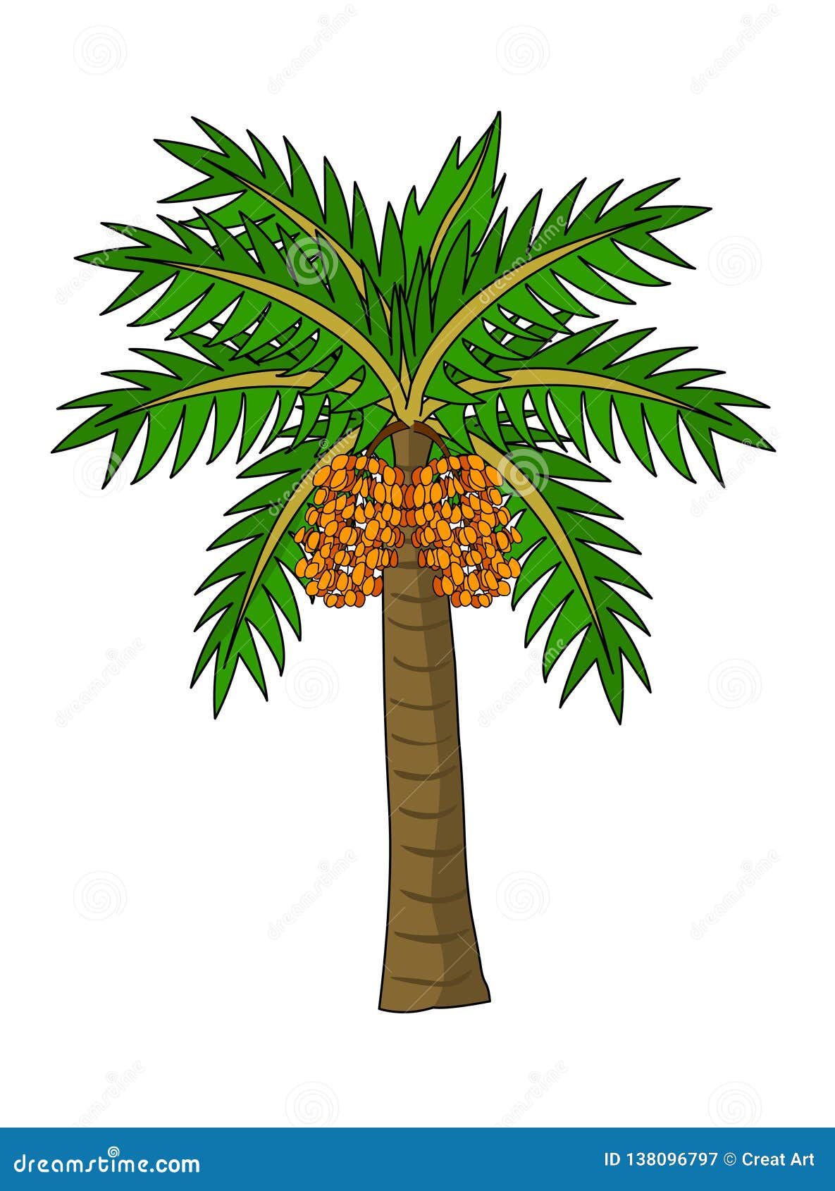 date palm tree  