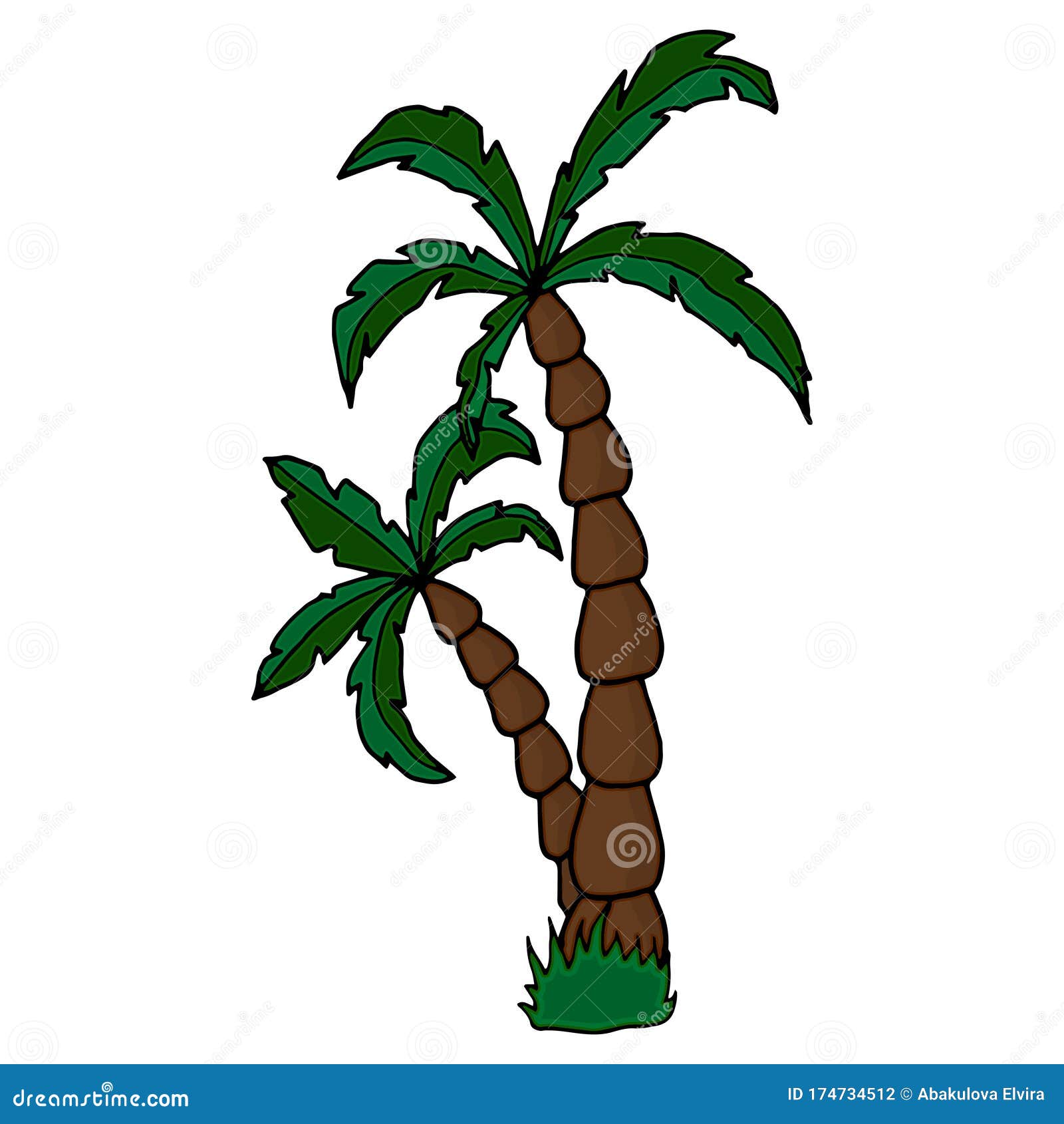 Date Palm. Vector Hand Drawn Palm Trees, Sketch Stock Vector ...