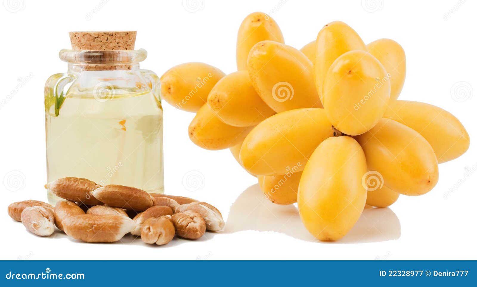 Date Seed Oil Royalty Free Stock Photography Image 22328977