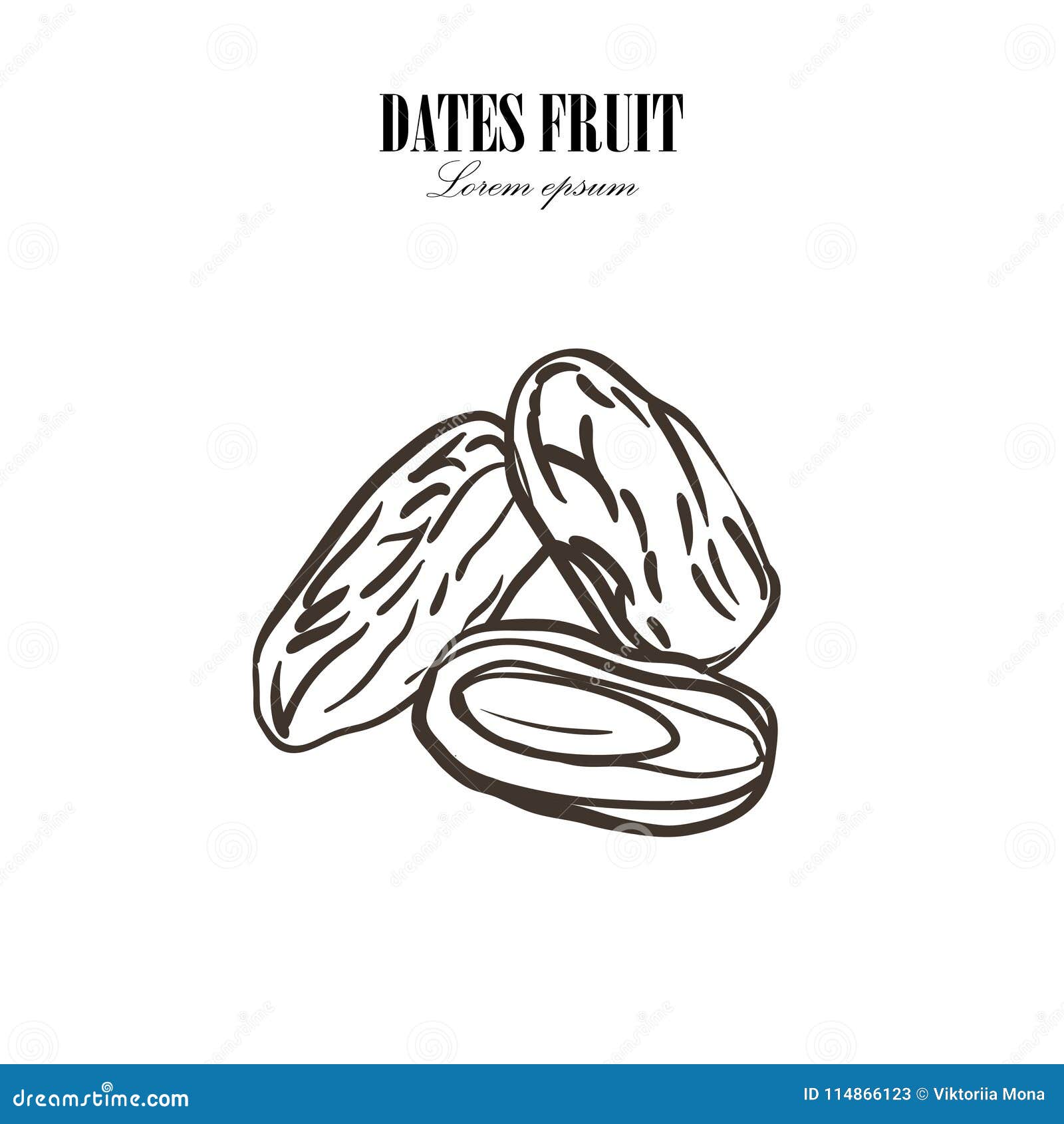 Dates with Palm Leaves on White Background. Vector Illustration. Stock