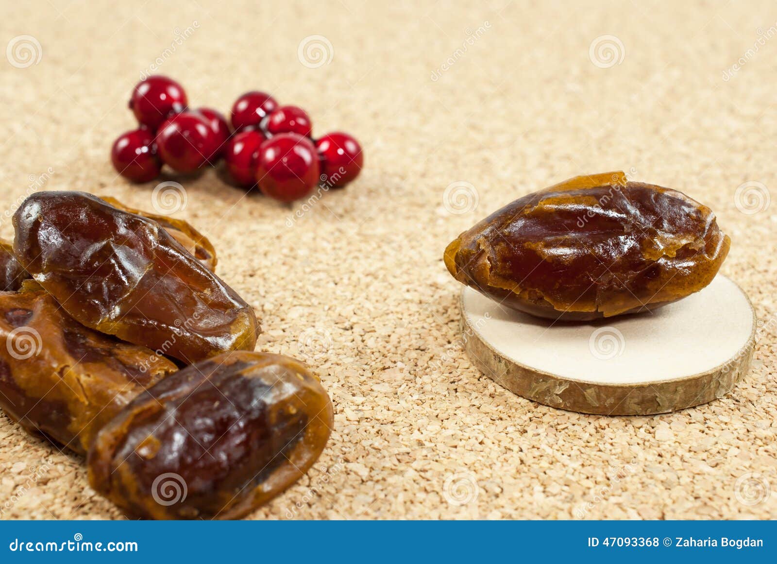 Dates on Stump Section on Cork Board Stock Photo - Image of frame, east ...