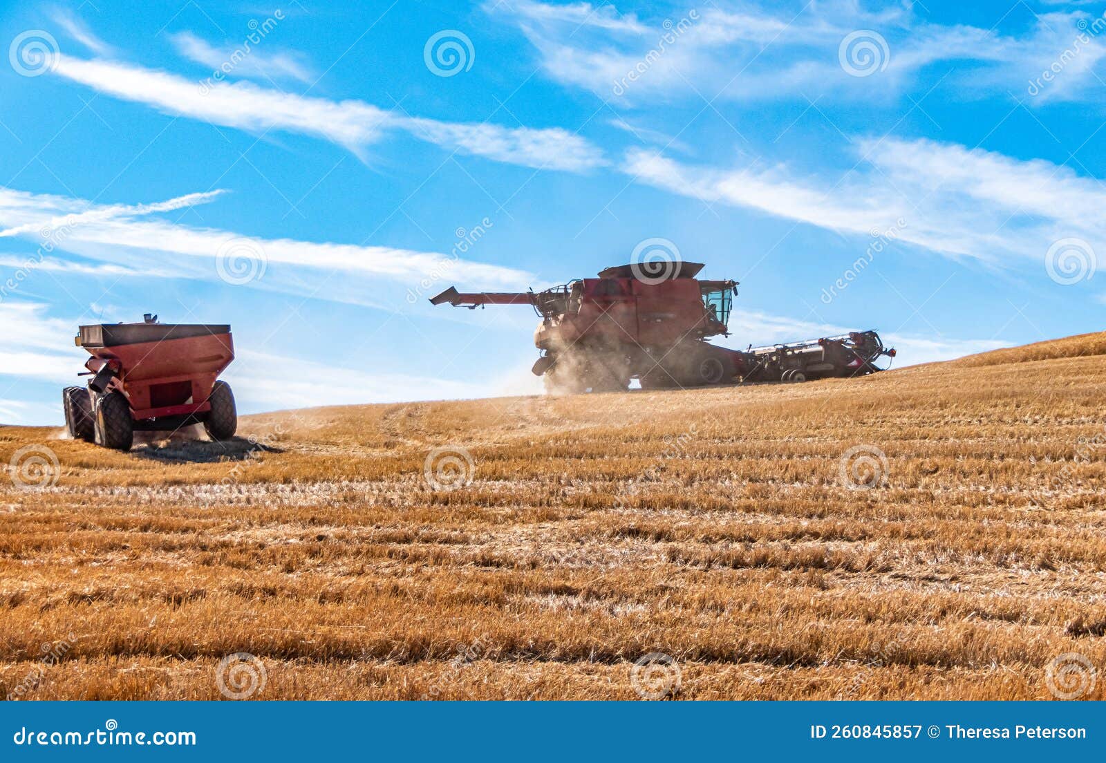 david and goliath