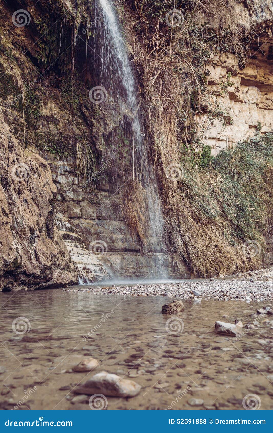 David Waterfall En Gedi Israel Arkivfoto - Bild av vatten, grunt: 52591888