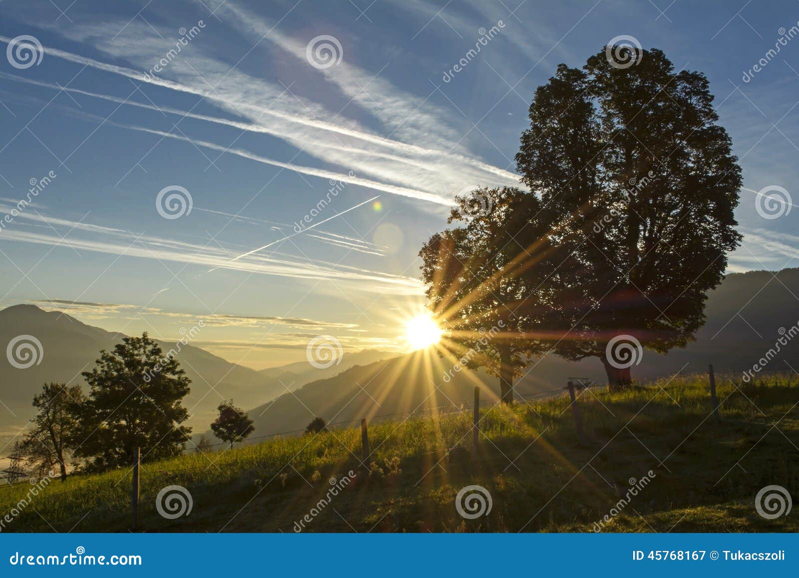 dawn in the pasture