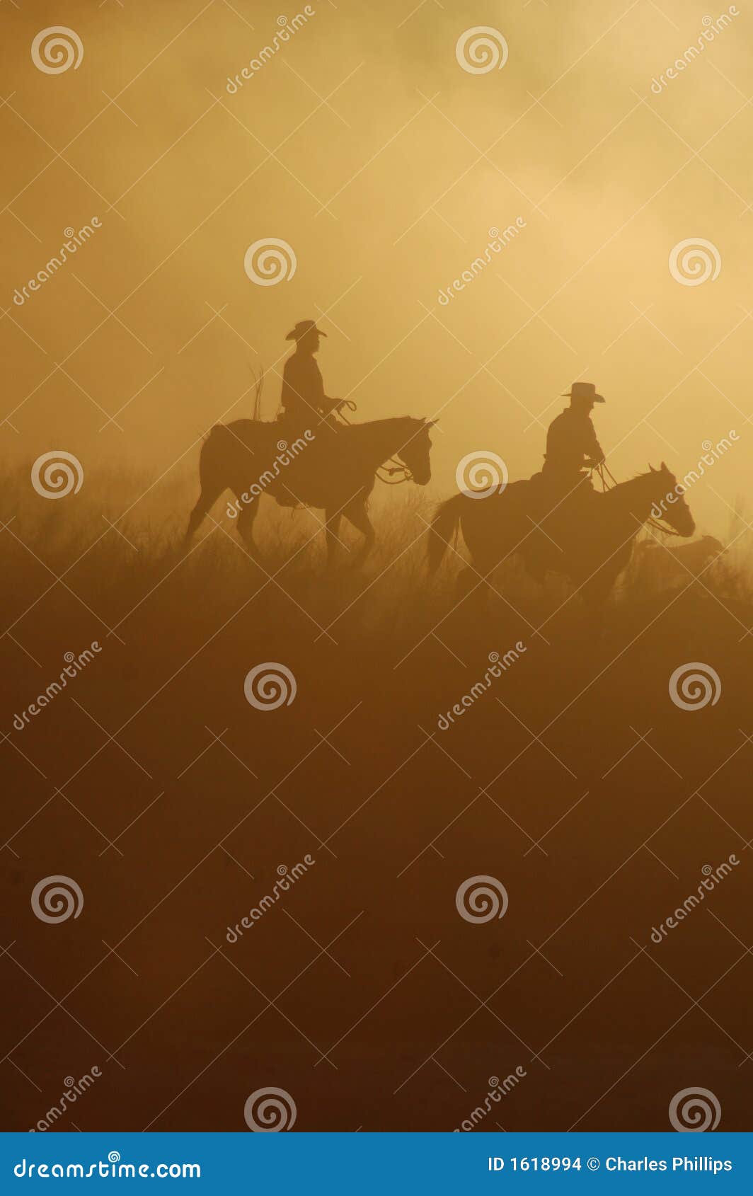 Dawn Ride stock foto. Image of westelijk, landelijk, merknaam 1618994