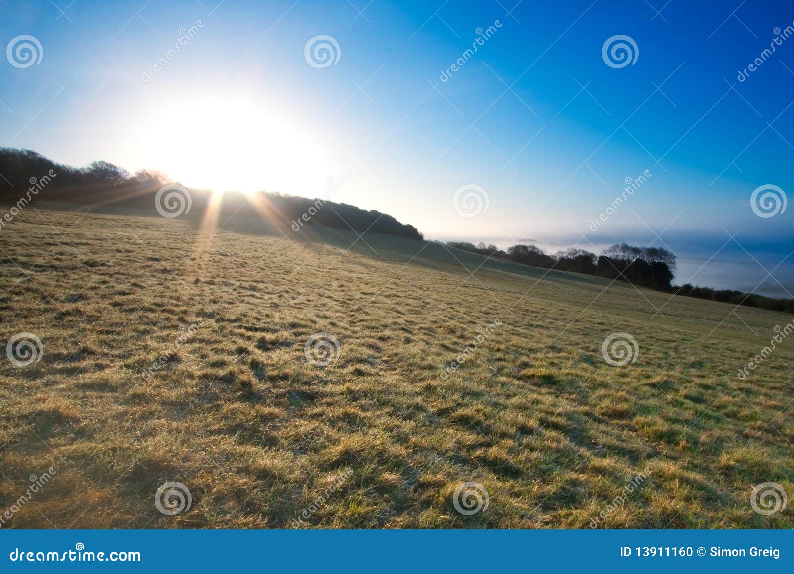 Dawn Sunburst in a Field stock photo. Image of green 13911160
