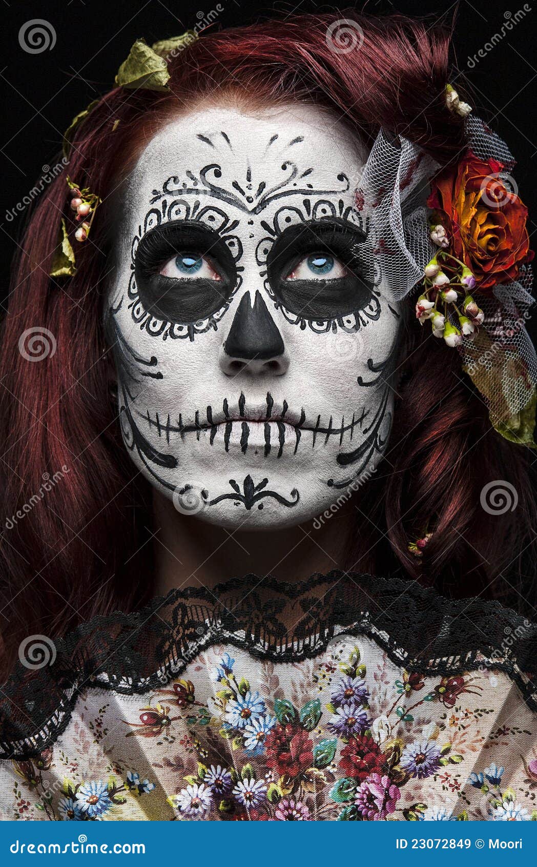 Day Of The Dead Royalty Free Stock Images - Image: 23072849