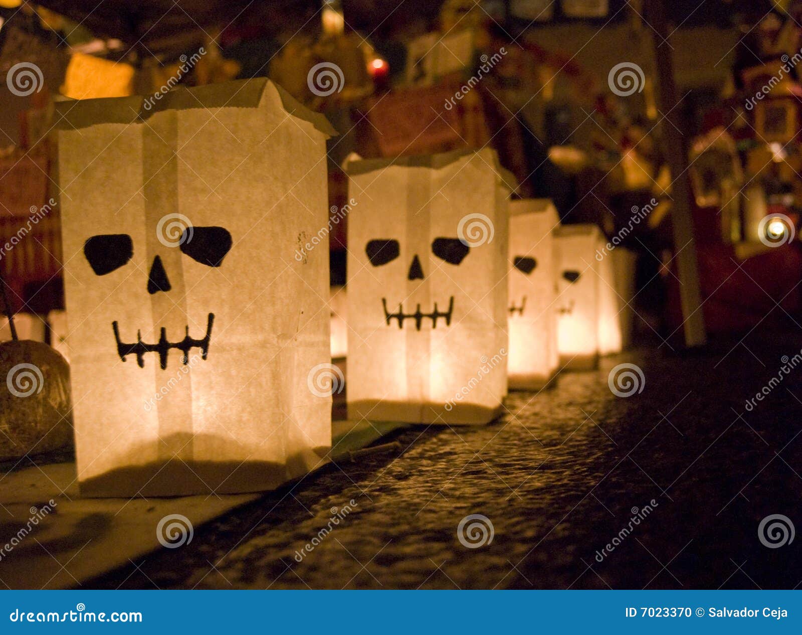day of the dead bags