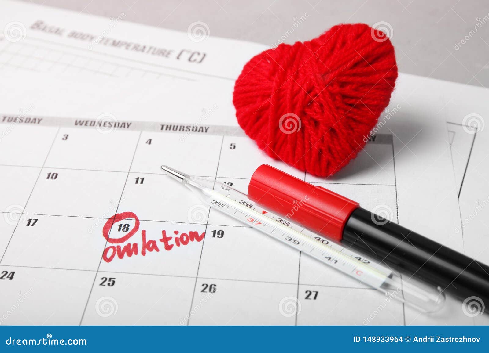 day of female ovulation in calendar, schedule of basal temperature. time to conceive child
