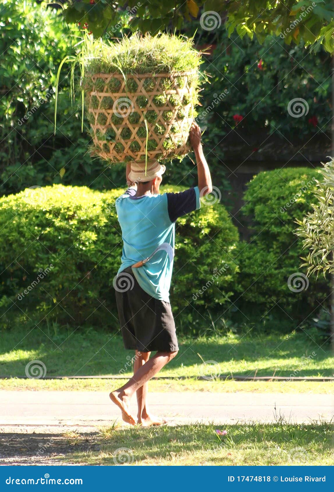 A day of work in Indonesia editorial stock photo. Image of tropical