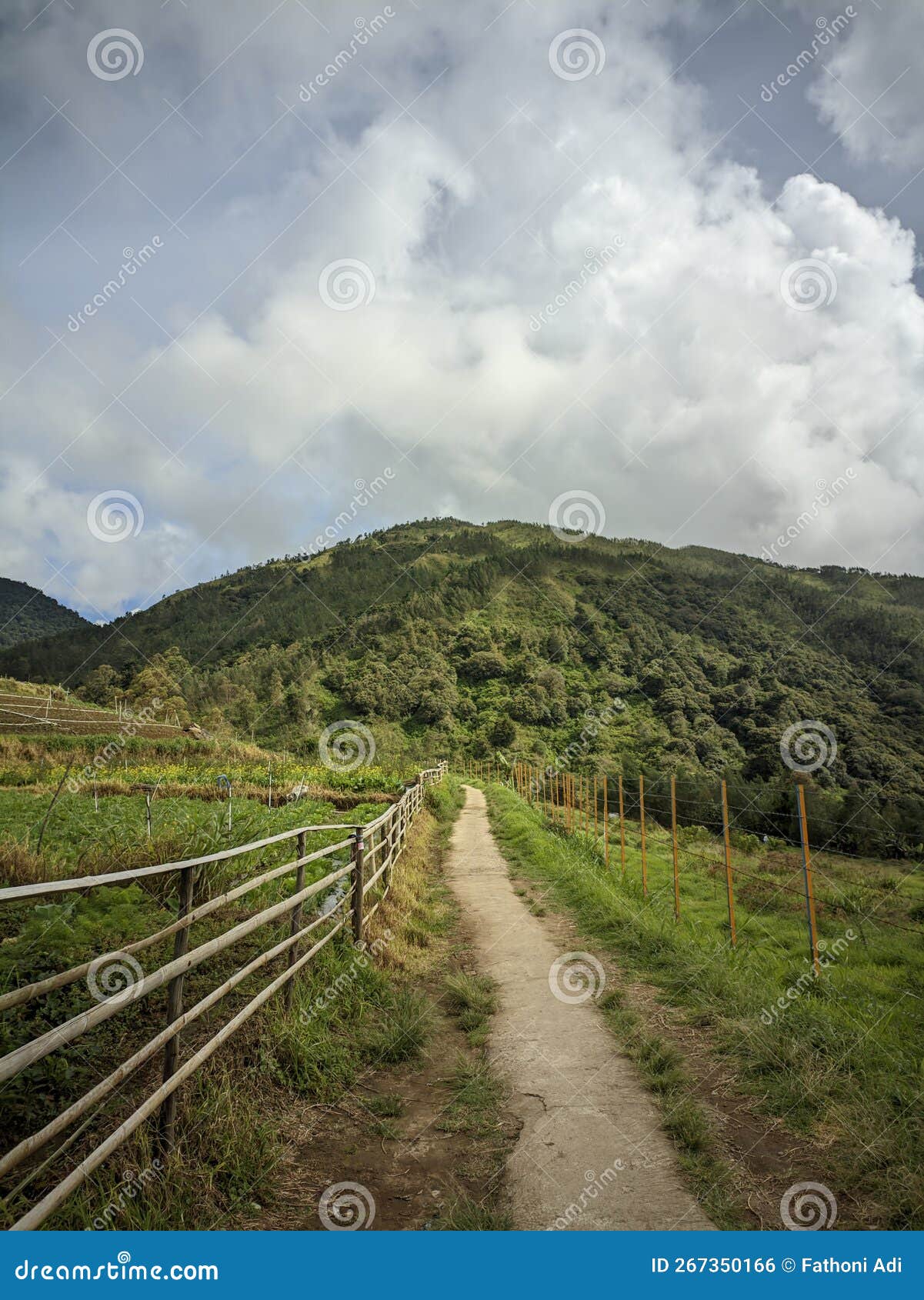 daytime atmosphere on the path leading to the hills and plantations in the mongkrang area, central java