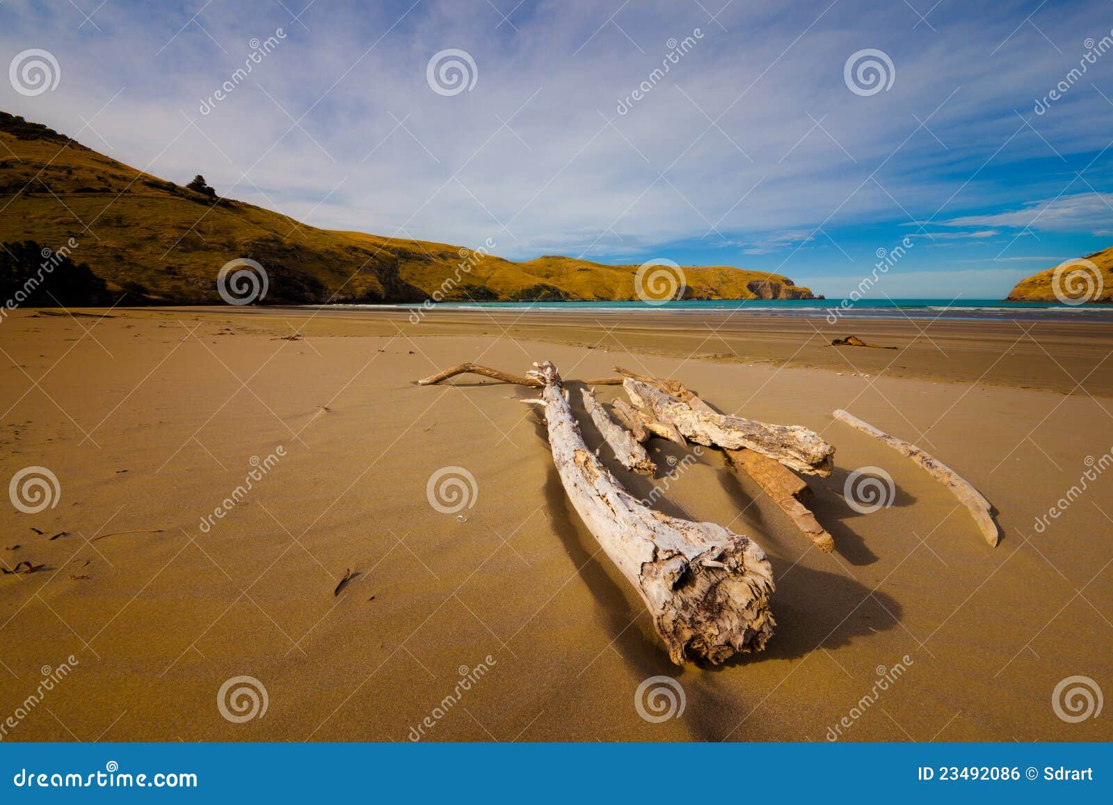 De baai van le bons. Het strand van le Bons Bay en een boom