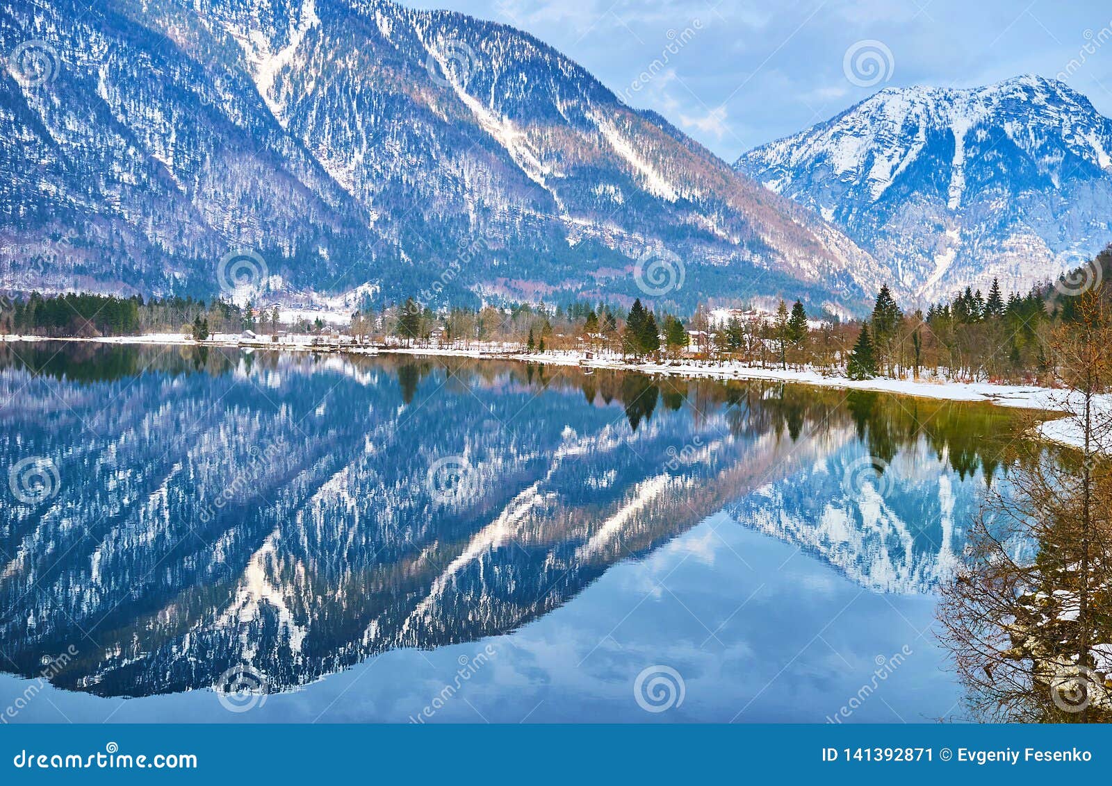 De bank van Obertraun, Hallstatter ziet, Salzkammergut, Oostenrijk. De bezinning in spiegeloppervlakte van Hallstatter ziet meer van de sneeuwbank van Obertraun-dorp, die met naaldbos en Dachstein-Alpen op de achtergrond, Salzkammergut, Oostenrijk wordt behandeld