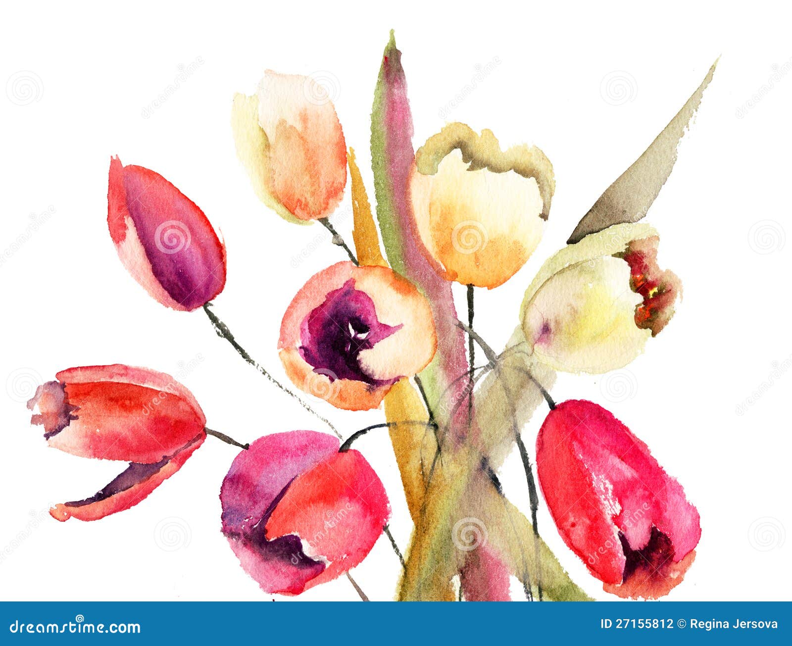 De rode bloemen van Tulpen, het schilderen van de Waterverf