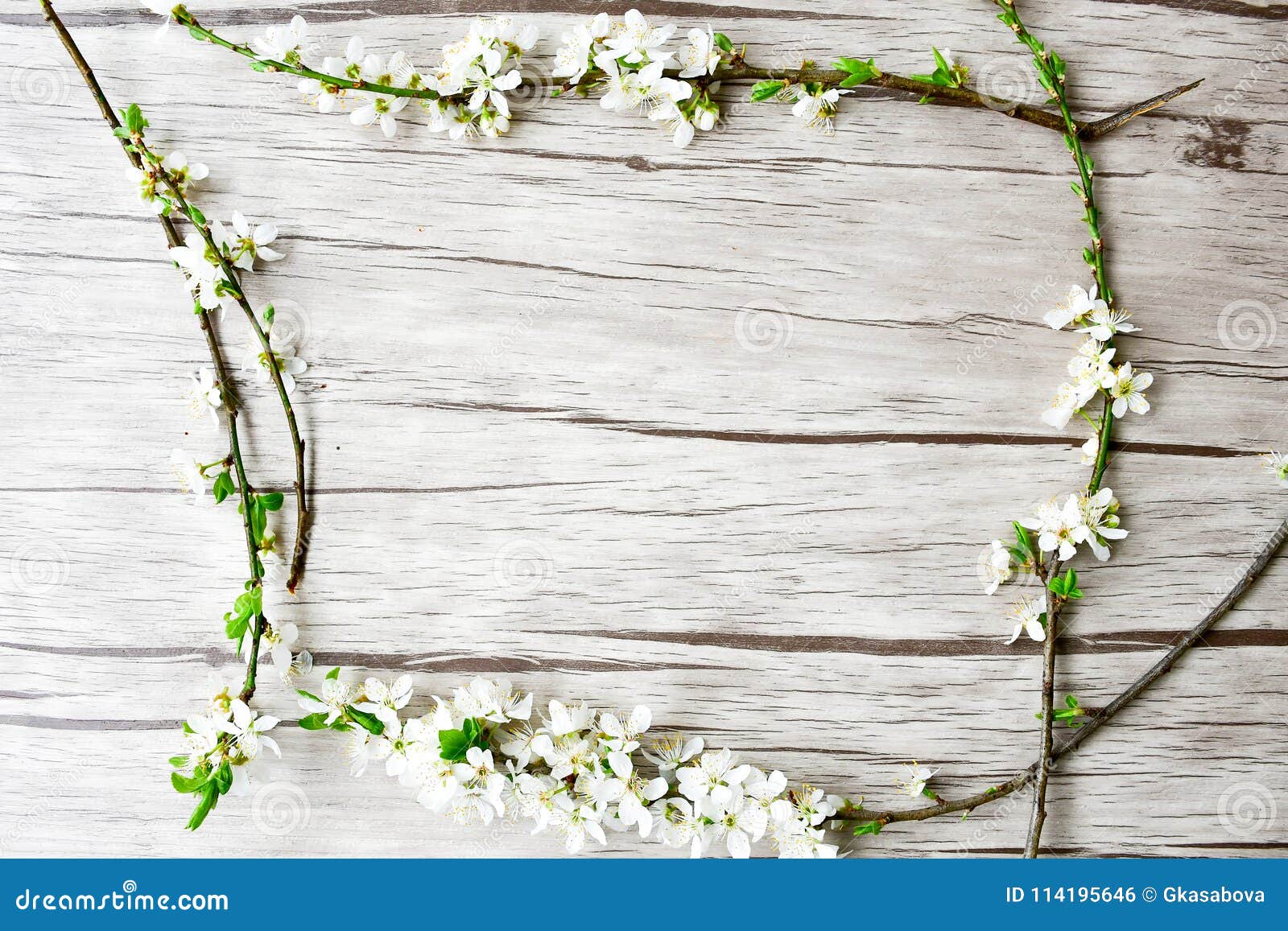 De Bloesem van de lente. Het kader van de de lentebloesem op witte houten achtergrond Kaartachtergrond, lege ruimte voor tekst