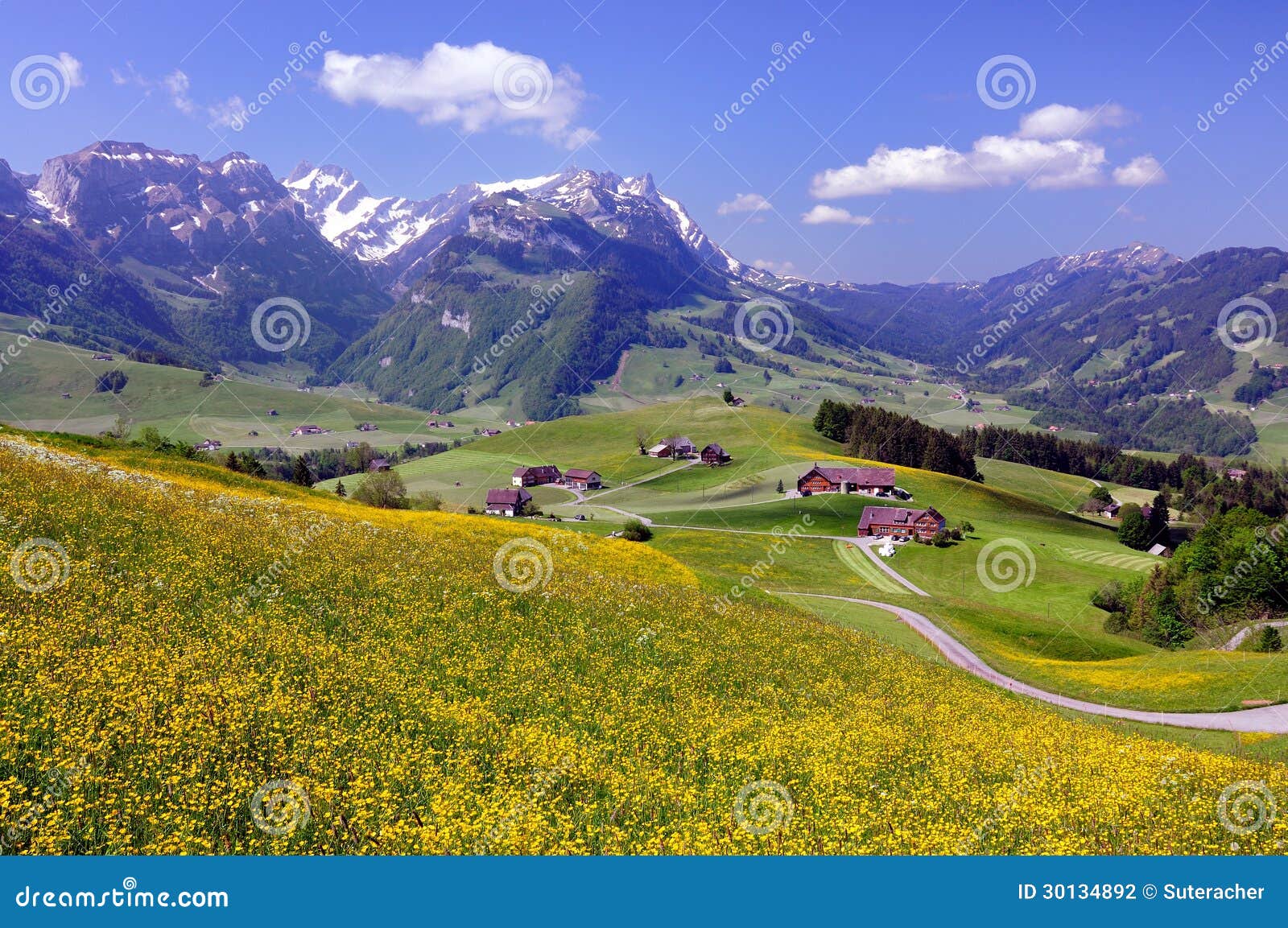 Landschap in Zwitserland stock foto. Afbeelding bestaande uit spring - 30134892