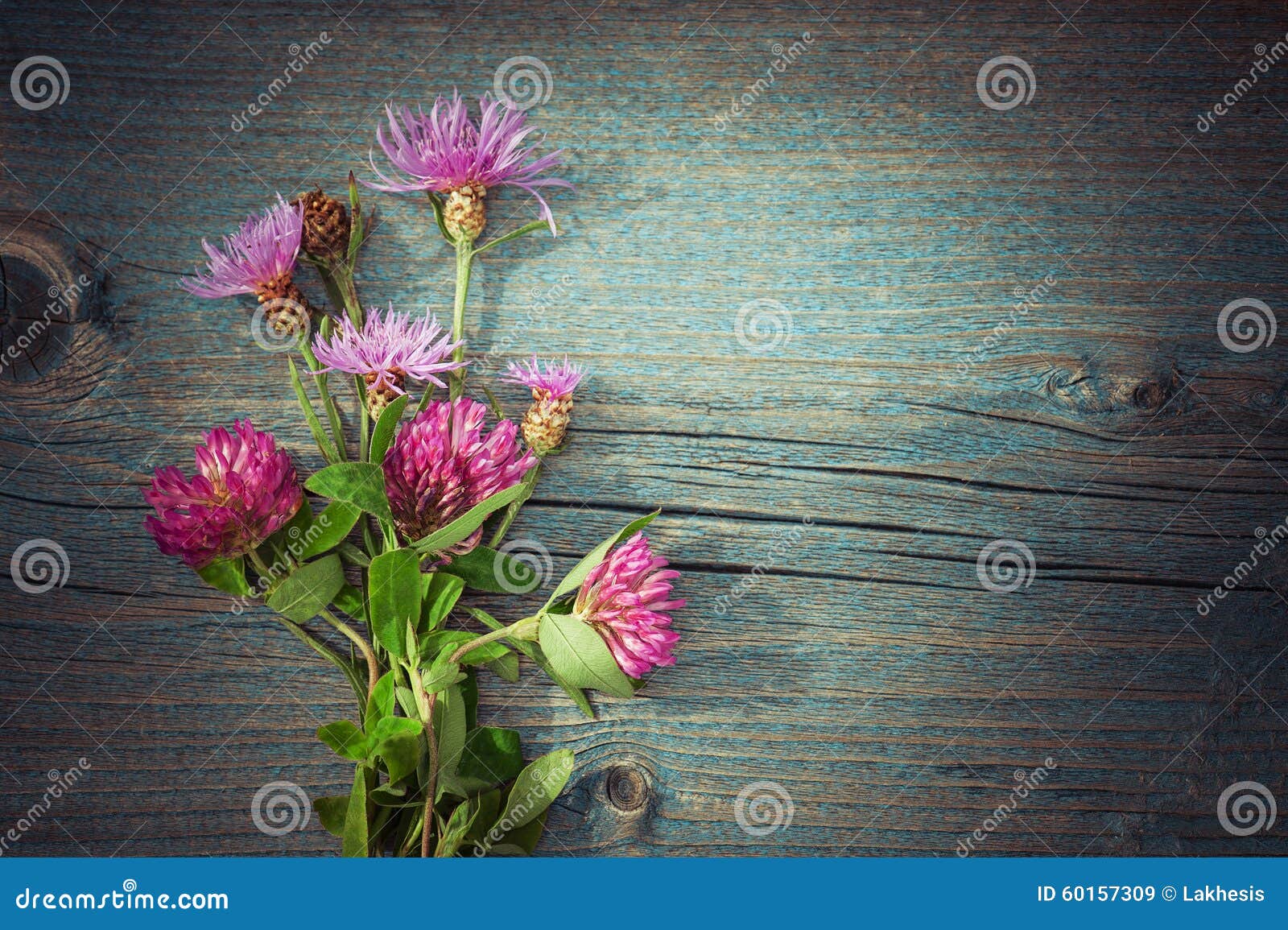 Bloemen boeket, de zomer stock afbeelding afbeelding: 9611461