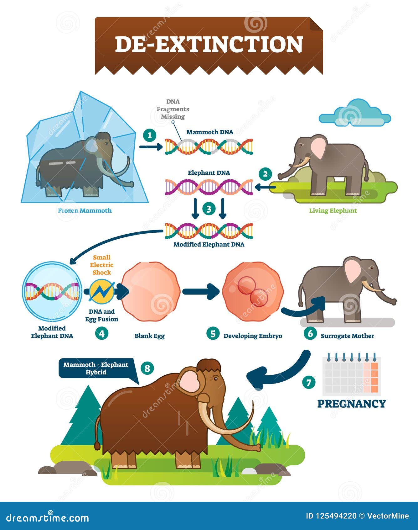 de-extinction infographic  . process with animal hybrids.