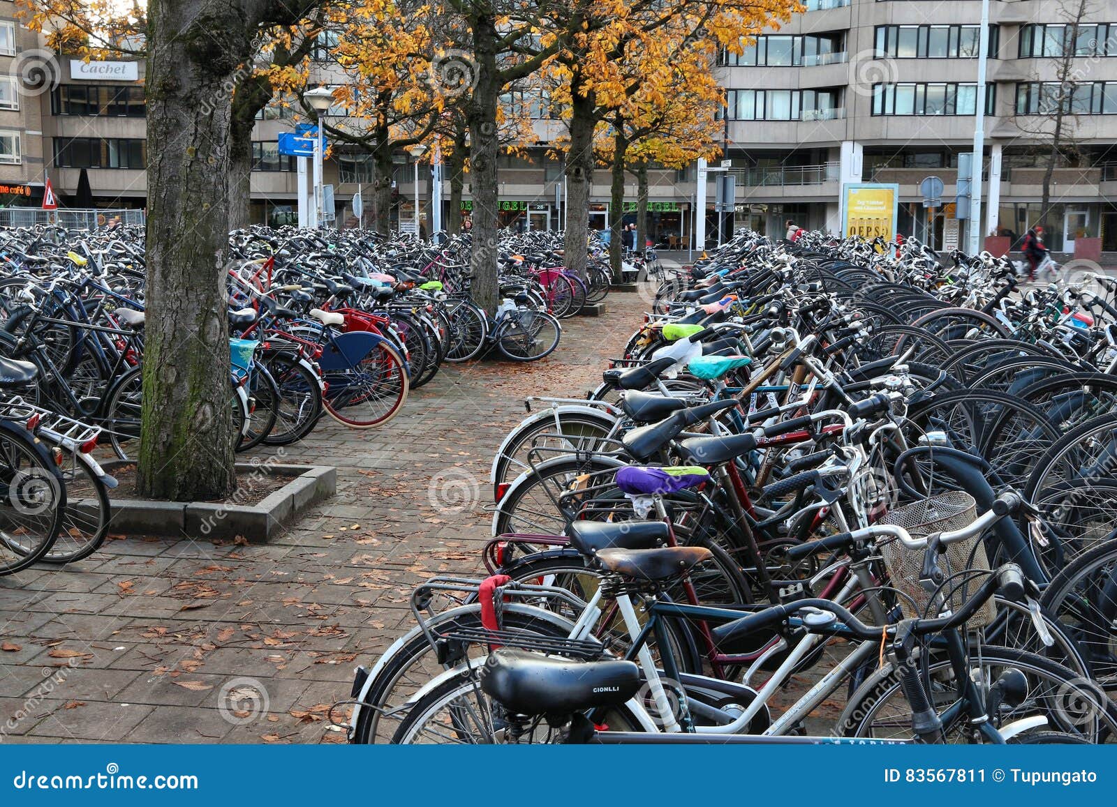 Bloedbad rustig aan syndroom De fietsen van Nederland redactionele foto. Image of fietsen - 83567811