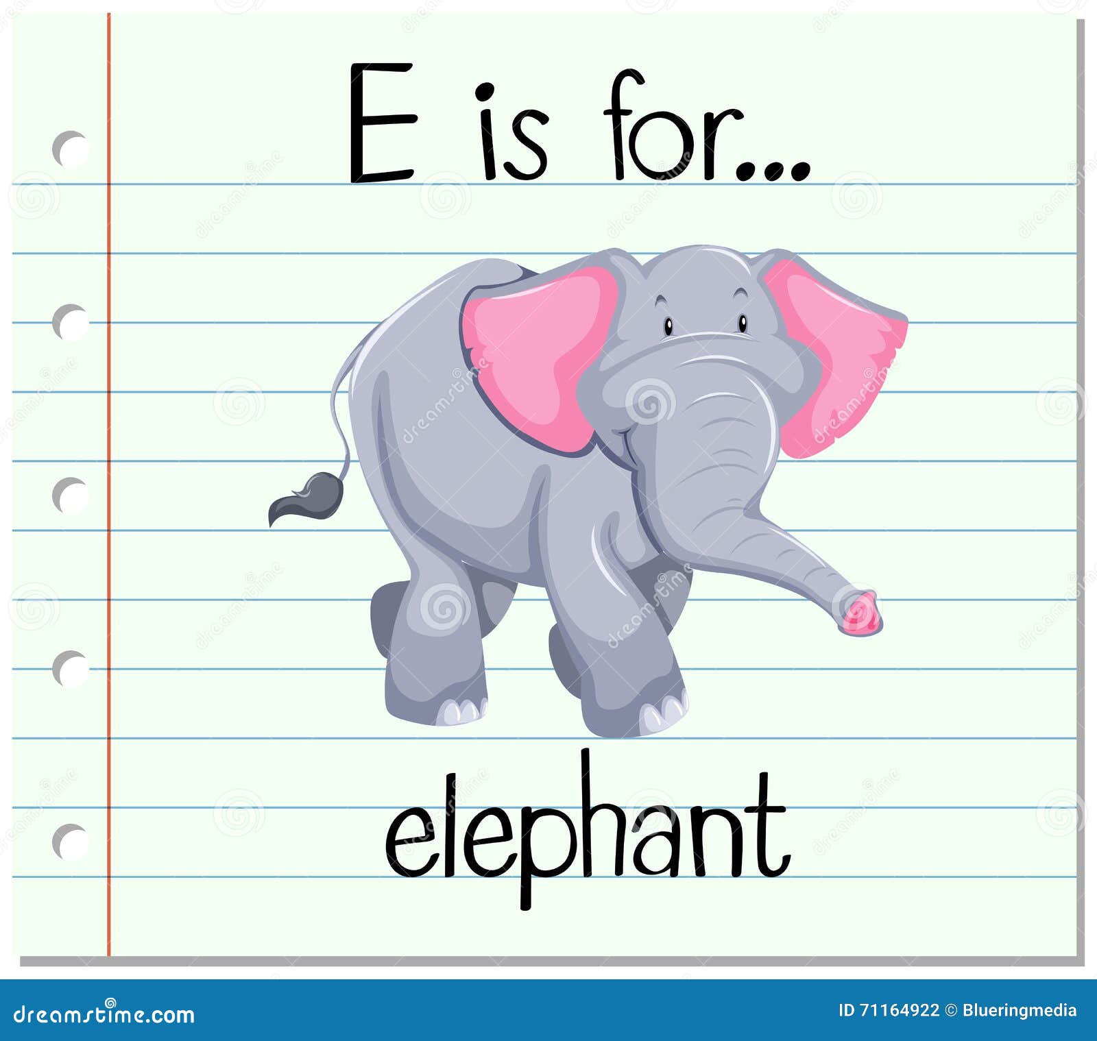 Elephant перевод с английского. Слон карточка на английском. Elephant на английском. Слон Flashcard. Карточка английский язык слон.